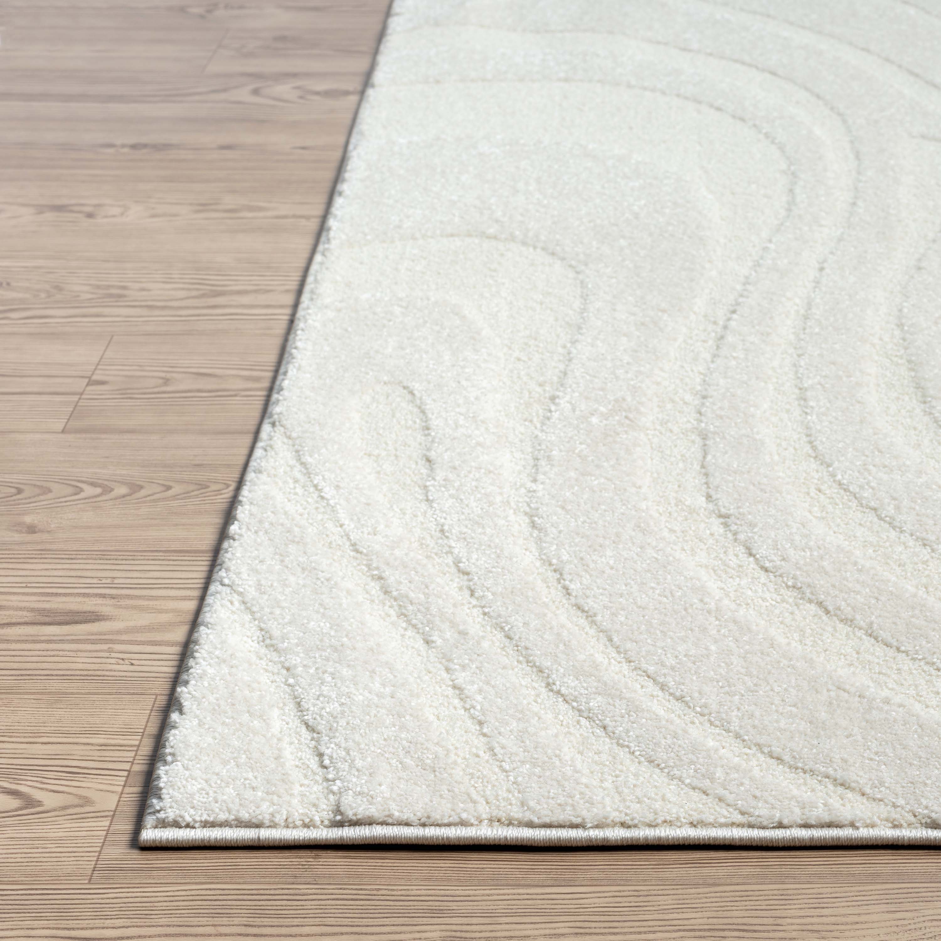 Abani Rugs COZ140A-5 rugs - View #5