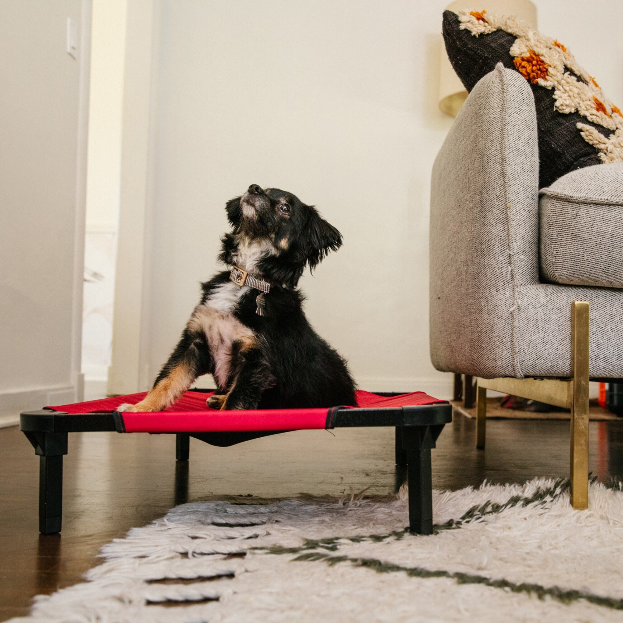 Lucky Dog CMB 10130 Pet-Beds - View #10