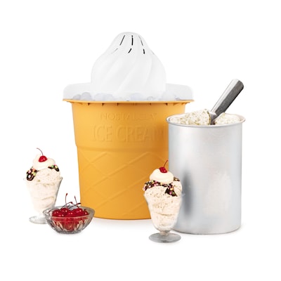 4 in 1 Frozen Yogurt & Ice Cream Machine Double Tank
