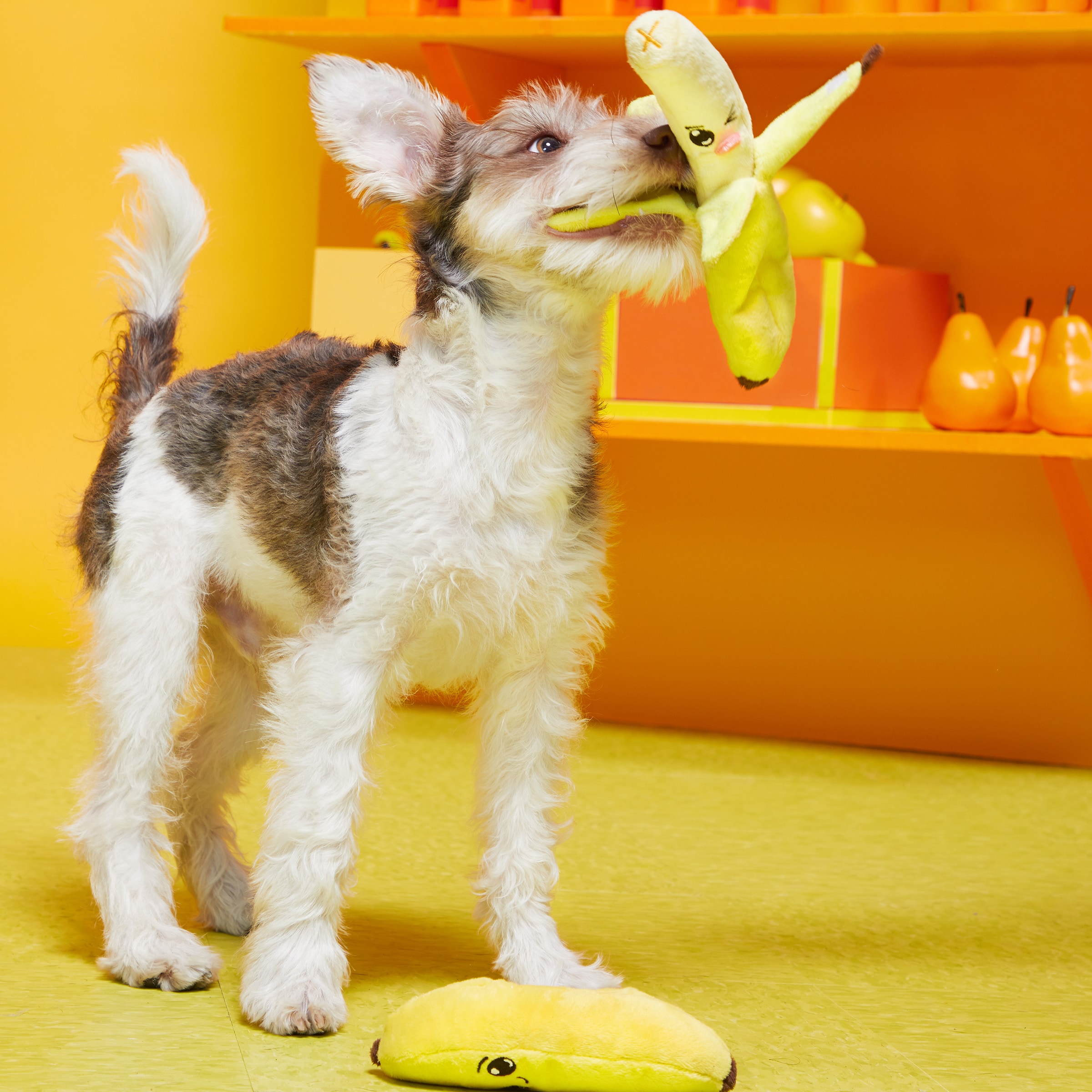 BARK 706589 Dog-Toys - View #3