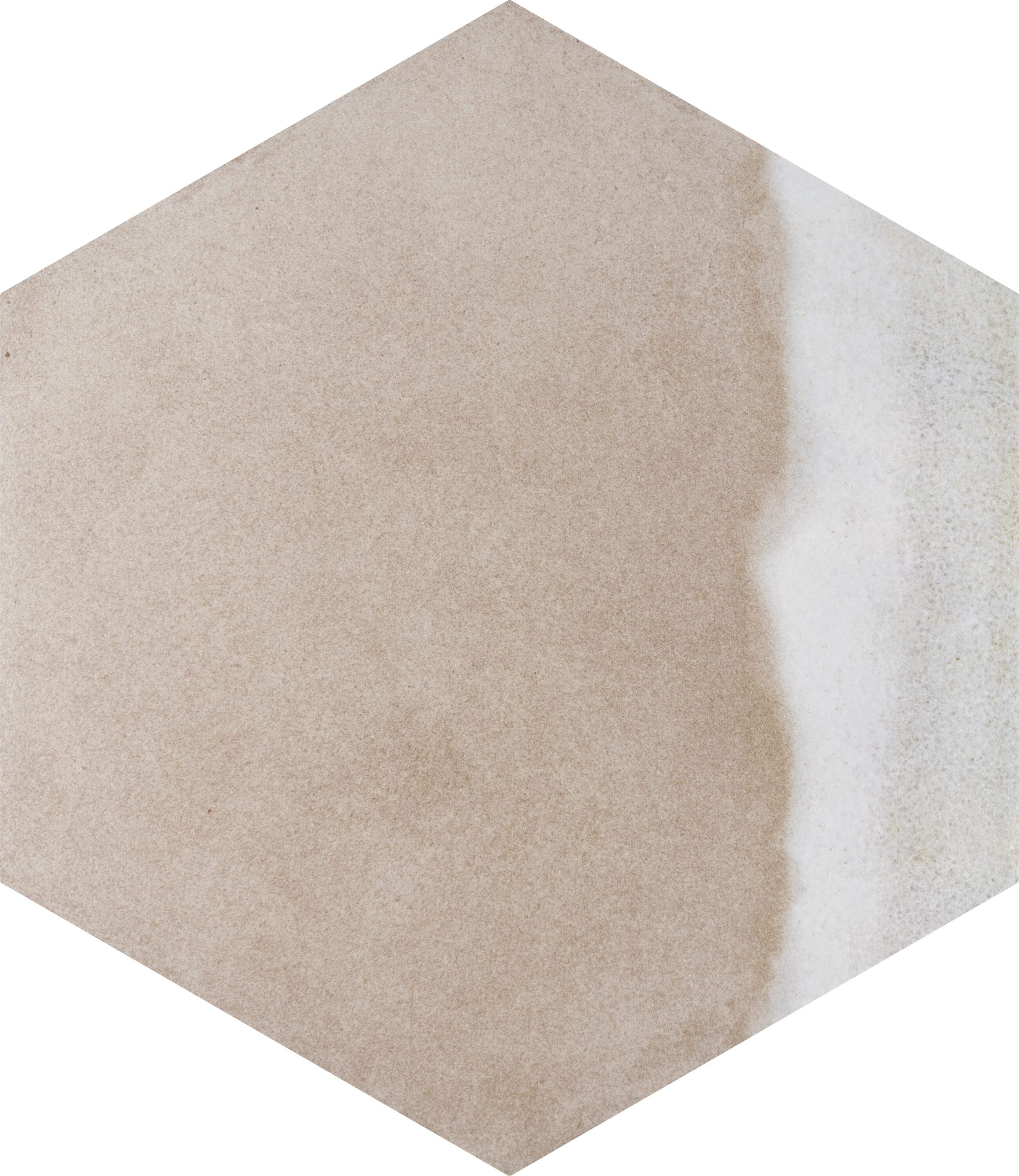 Taupe and Blue Hexagon Porcelain Floor and Wall Tile