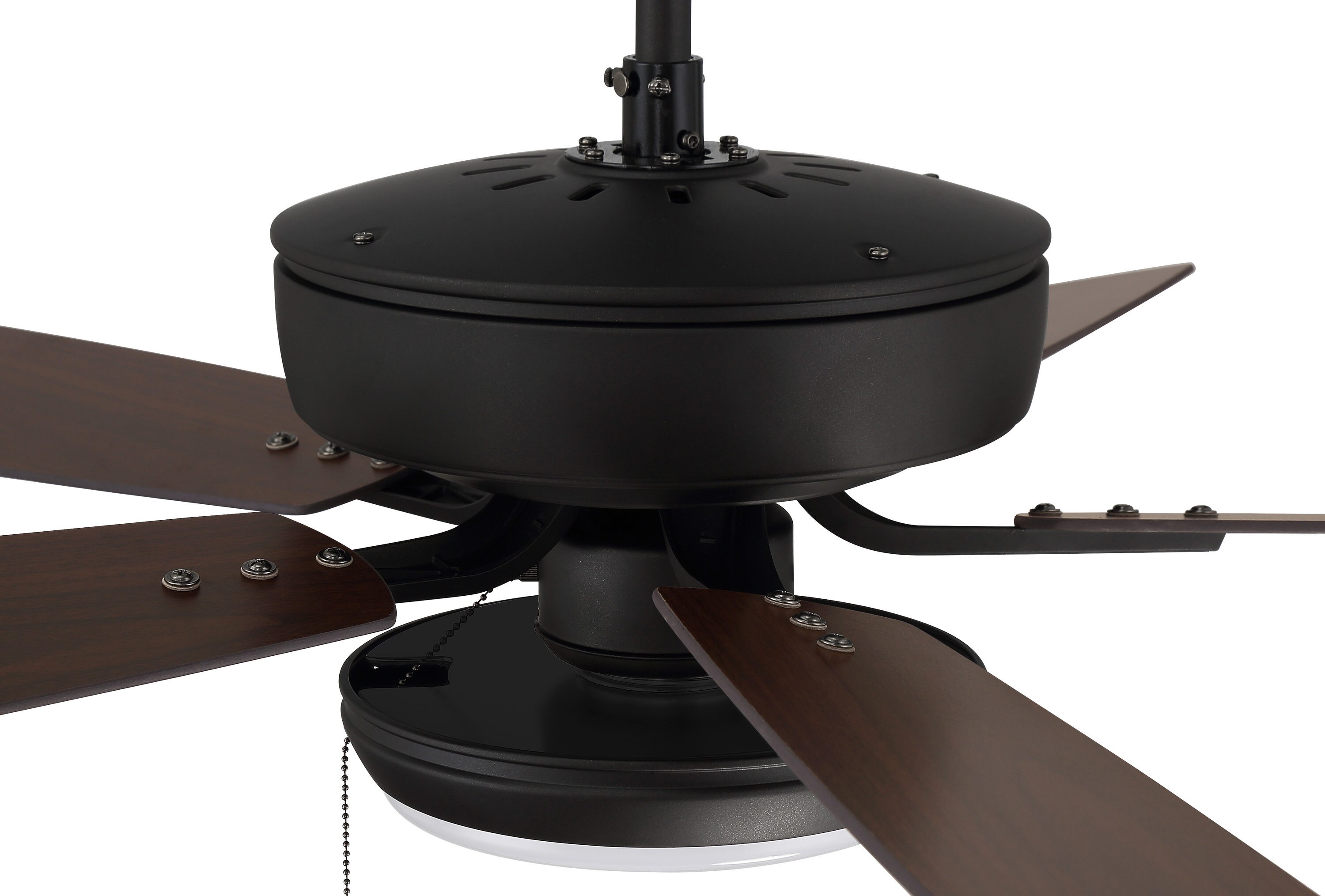 Craftmade P119ESP5-52ESPWLN Ceiling-Fans - View #11