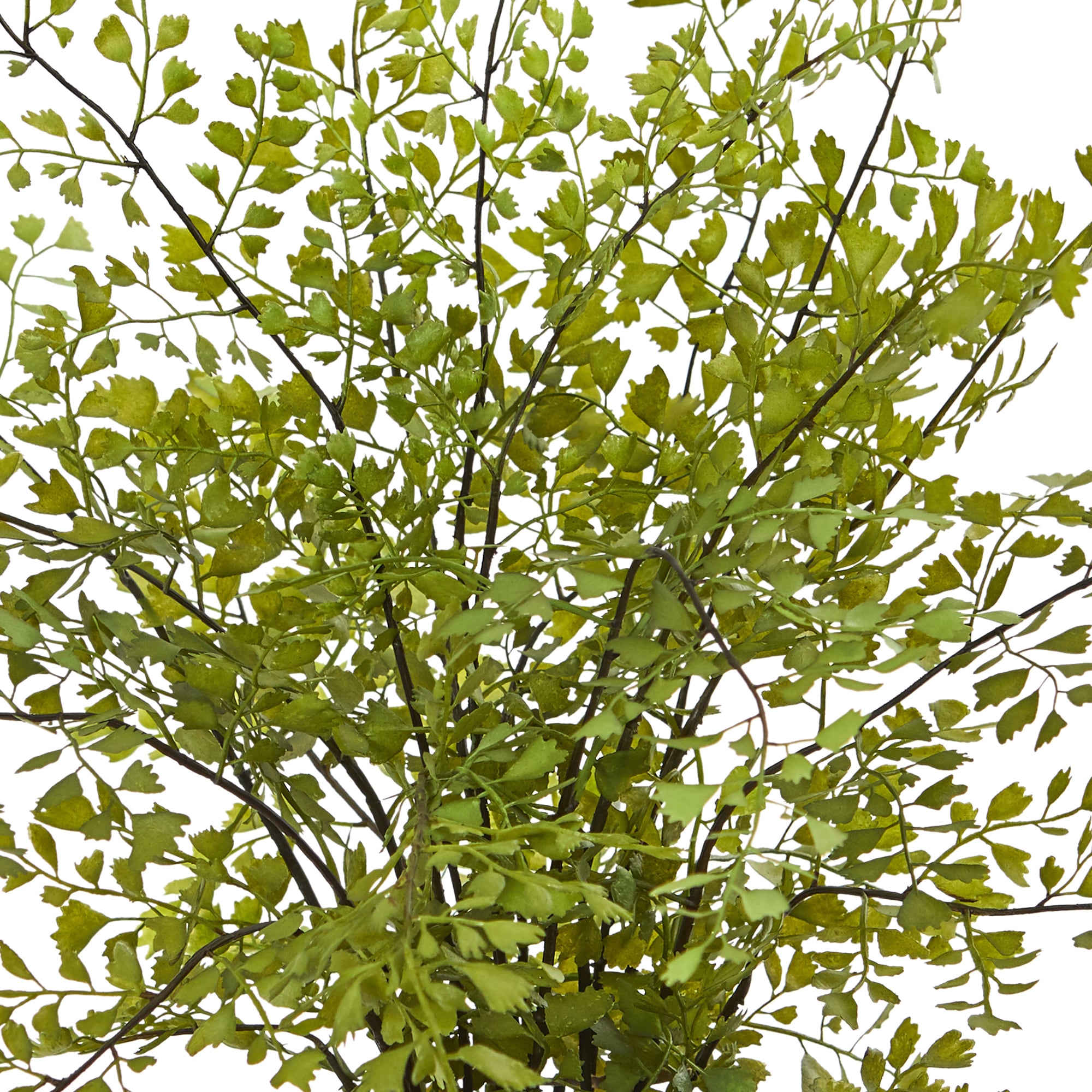 Nearly Natural 4251 Artificial-Plants-Trees - View #2