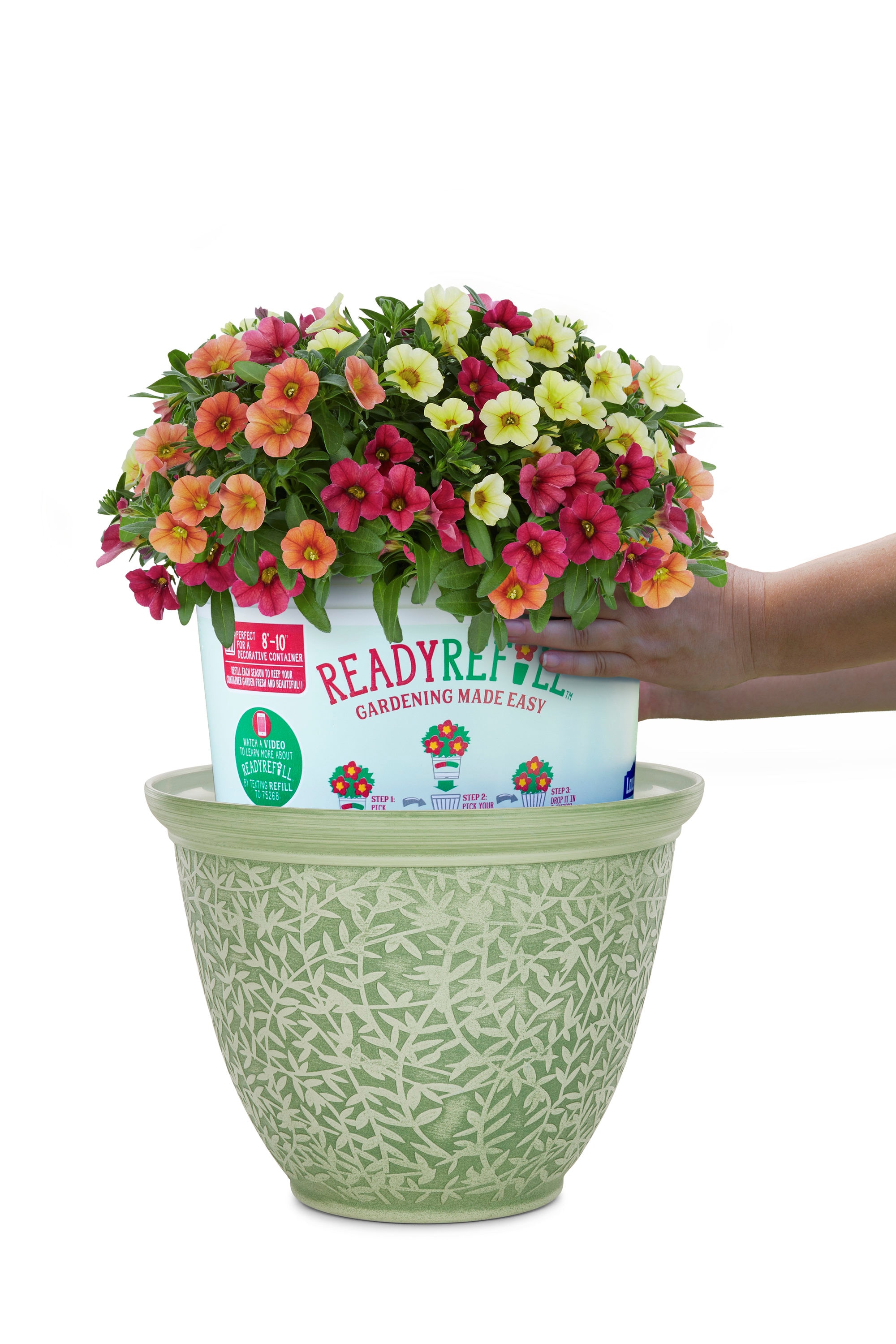 Ready Refill NURSERY annuals - View #4
