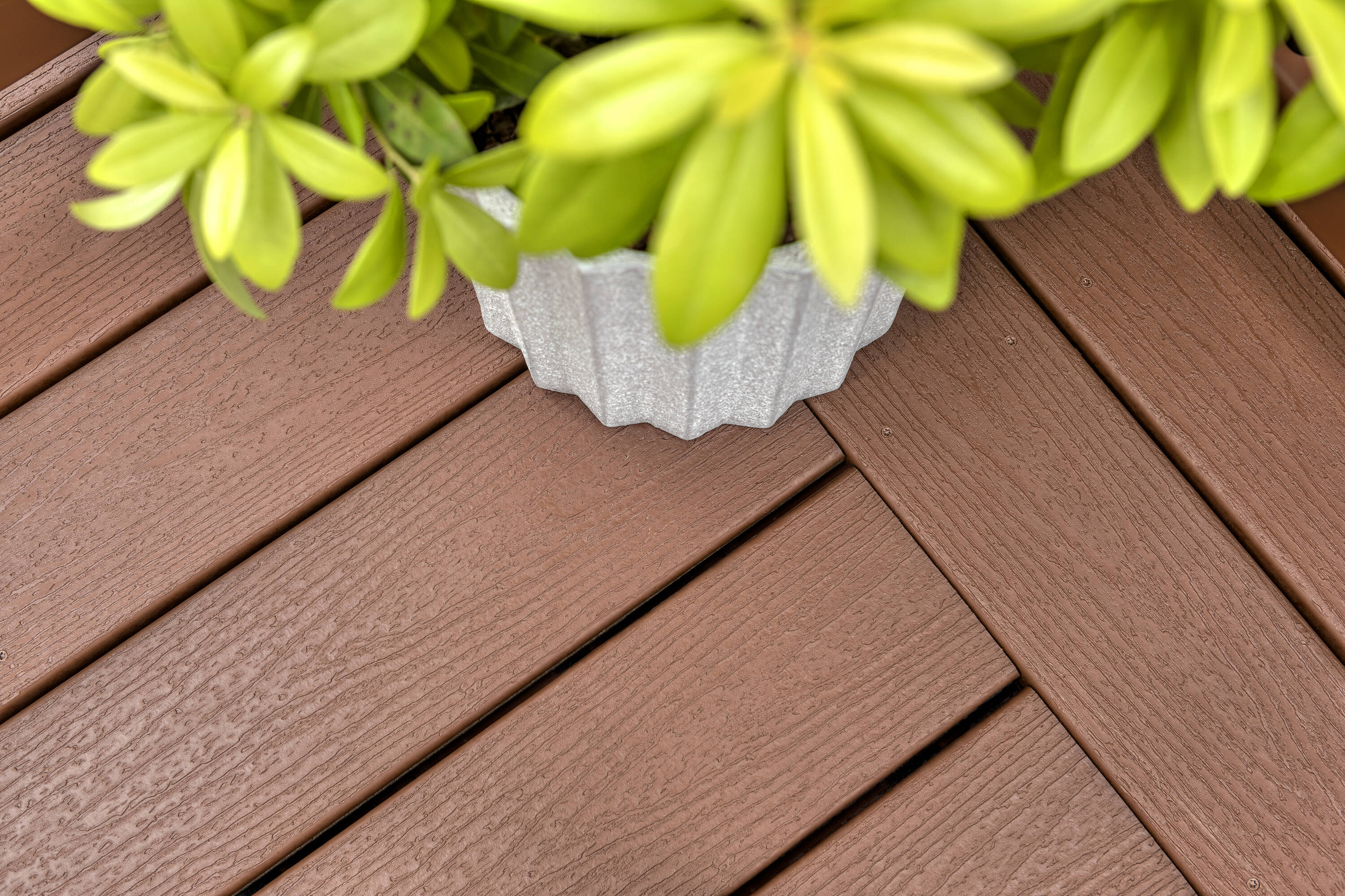 Trex TCM25SD7501 Deck-Screws - View #2