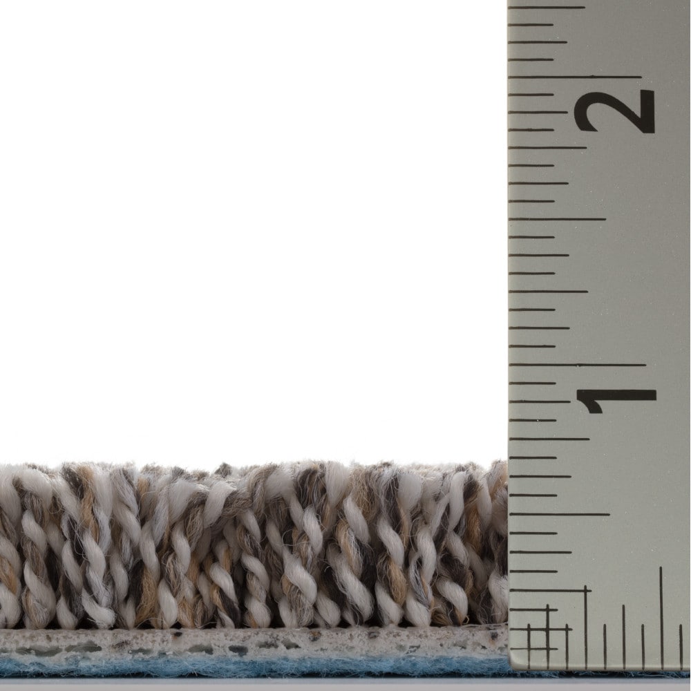 STAINMASTER PetProtect 7L967-731-SAMP Carpet-Samples - View #7