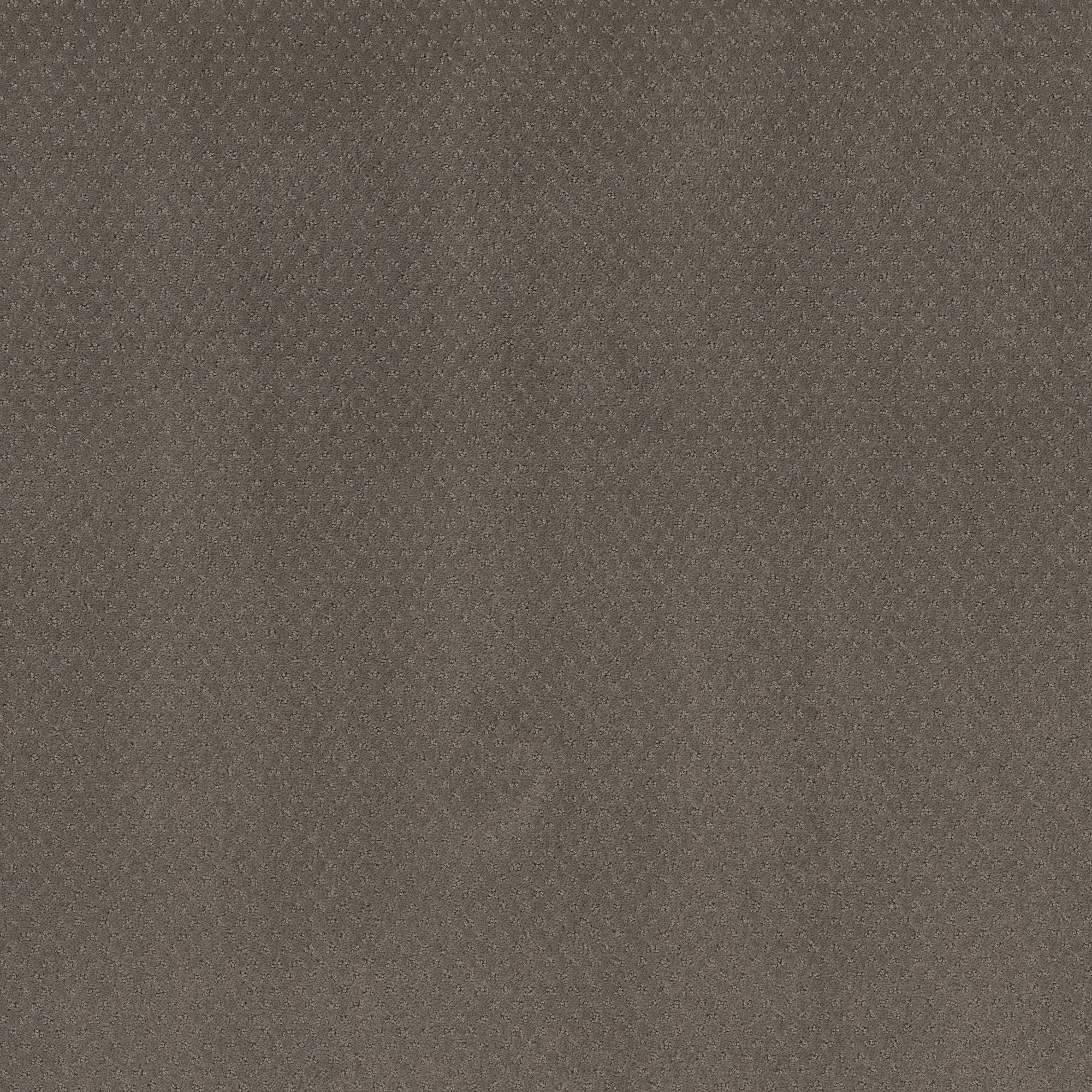 STAINMASTER PetProtect 7L89900573 Pawsitivity Potting Soil Gray 29.2-oz sq yard Nylon Pattern Indoor Carpet