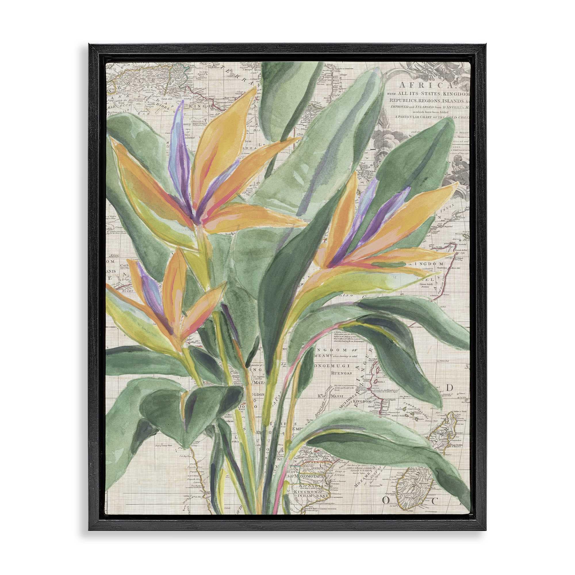 Stupell Industries BS-389-FFB-24X30 Bird of Paradise over Map Floating Frame design by June Erica Vess