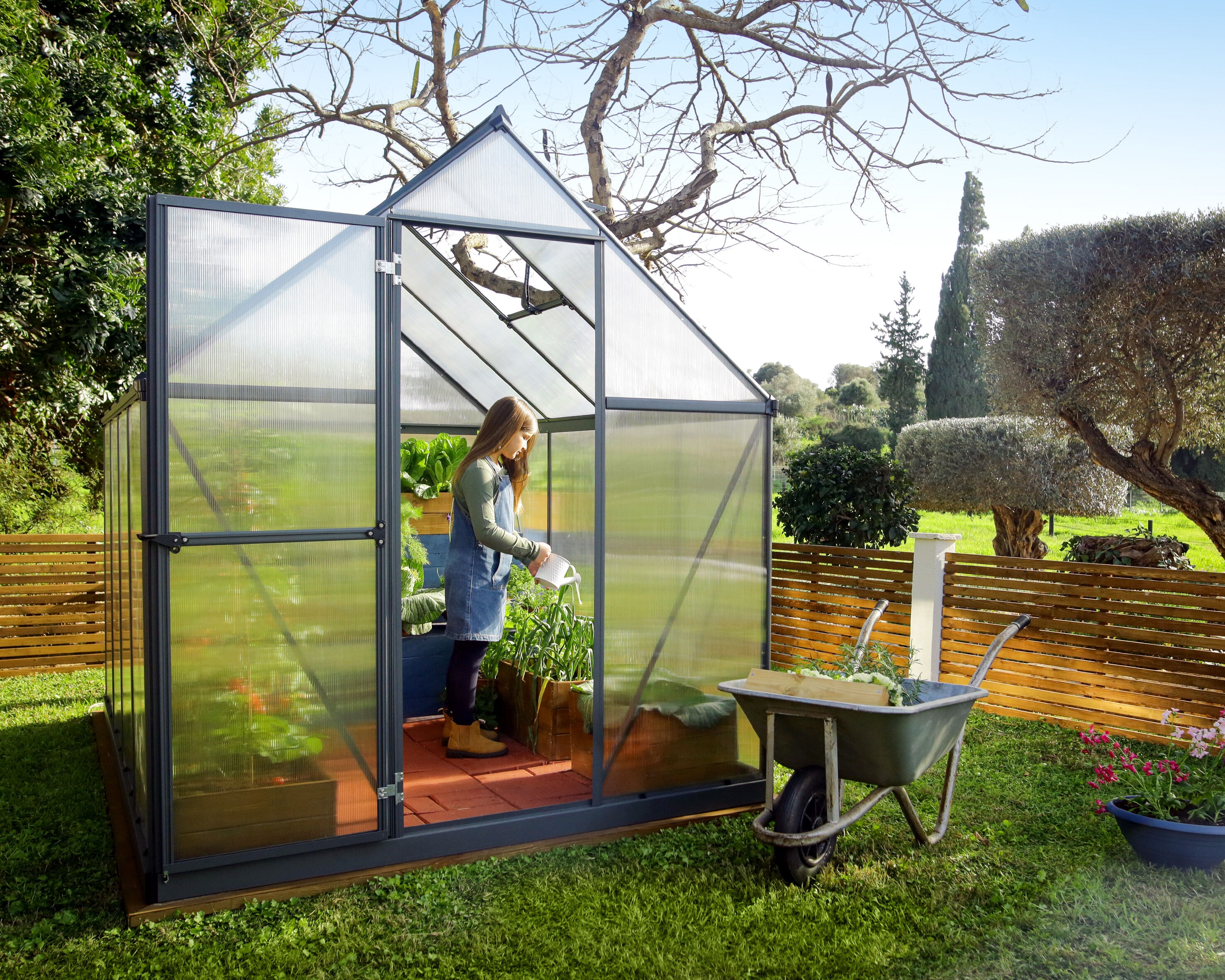 Canopia by Palram 706057 greenhouses - View #4