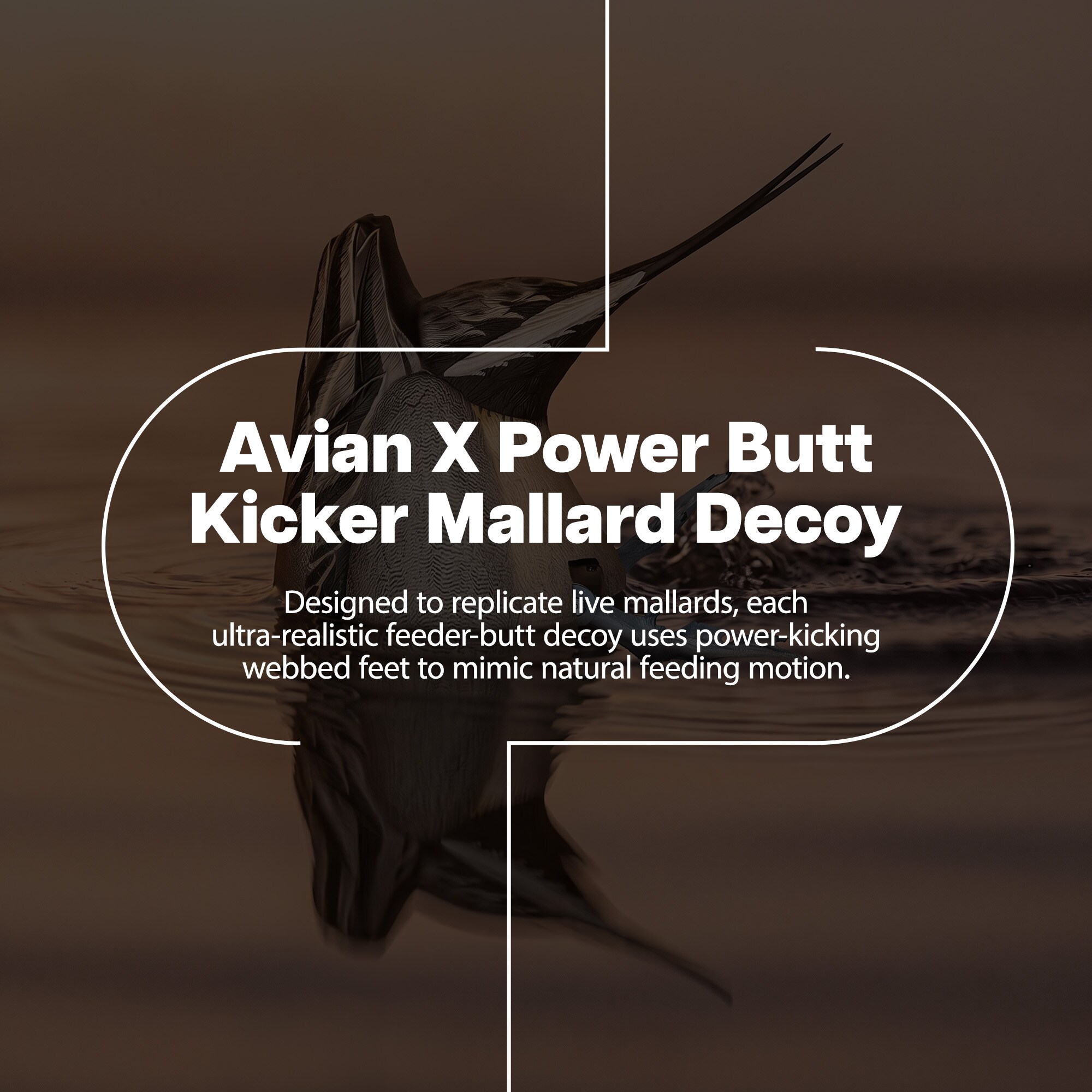 Avian X AVX-PT-PBK Hunting-Equipment - View #2