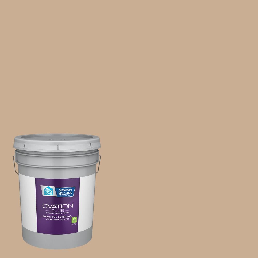 HGTV HOME by Sherwin-Williams 2008-8B-2557224 Ovation Plus Eggshell Maple Leaf 2008-8B Latex Interior Paint Paint + Primer ( 5-gallon )