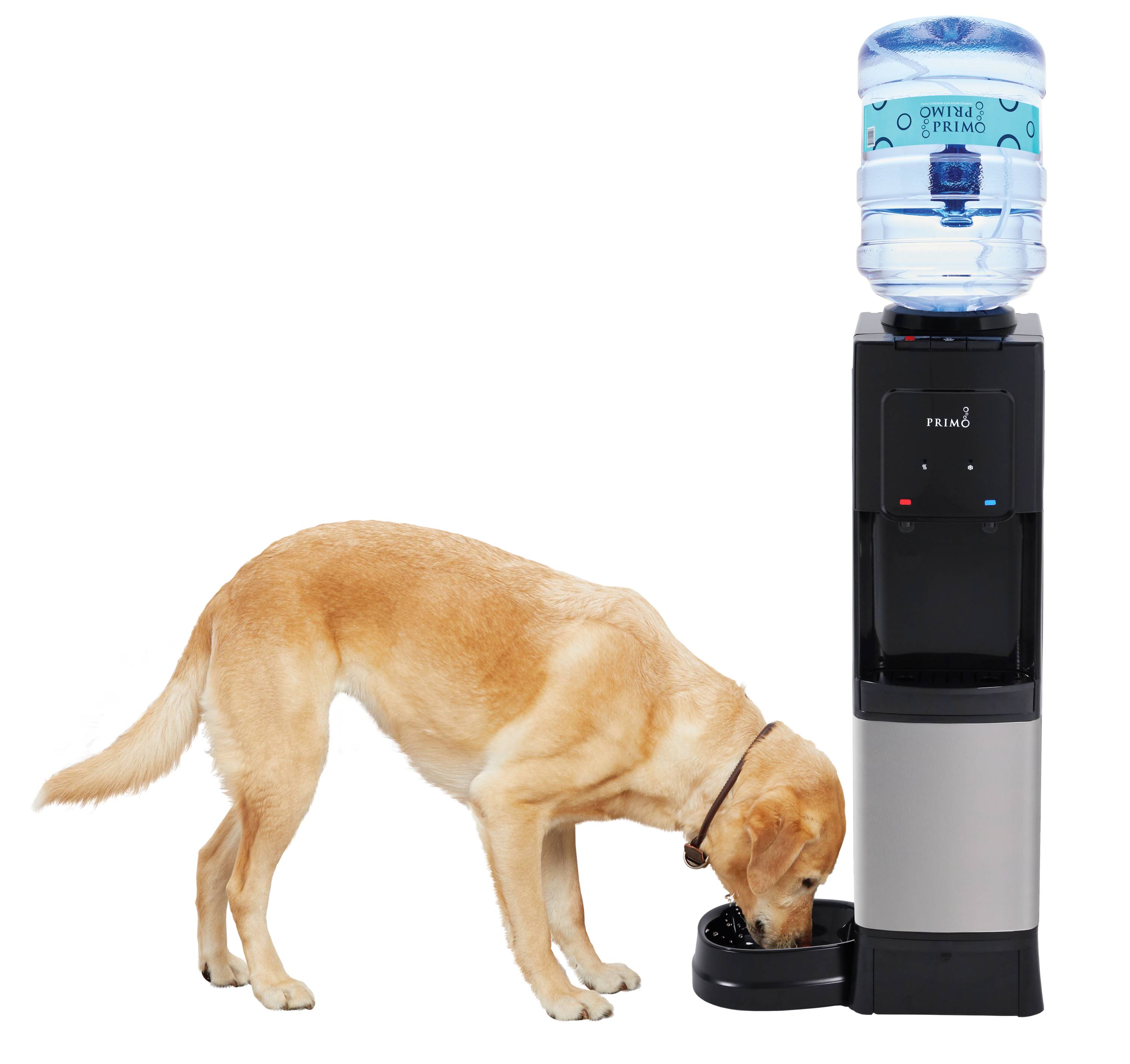 Primo Countertop Water Dispenser Top Loading, Room Temperature, Black, 3 or  5 Gallon