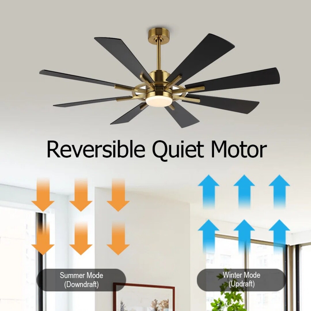 MLIAN WBCF-BS221-BK Ceiling-Fans - View #4