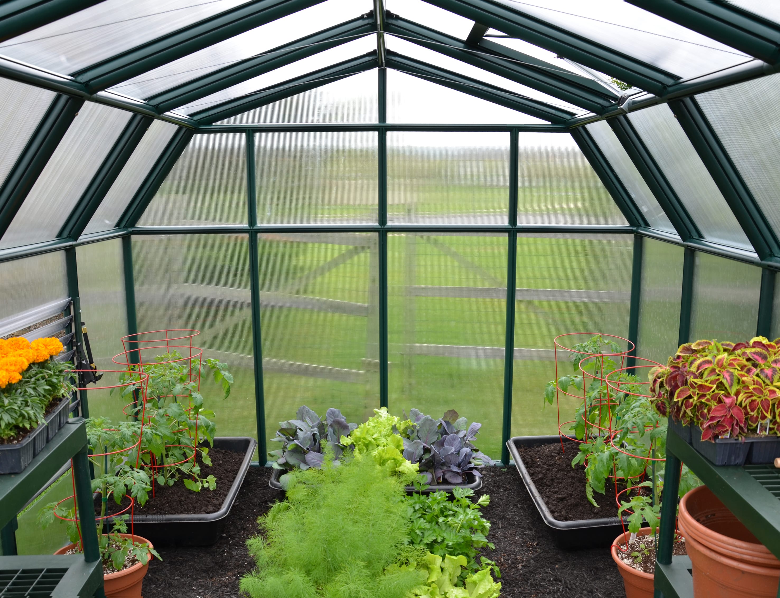 Canopia by Palram 702497 greenhouses - View #7