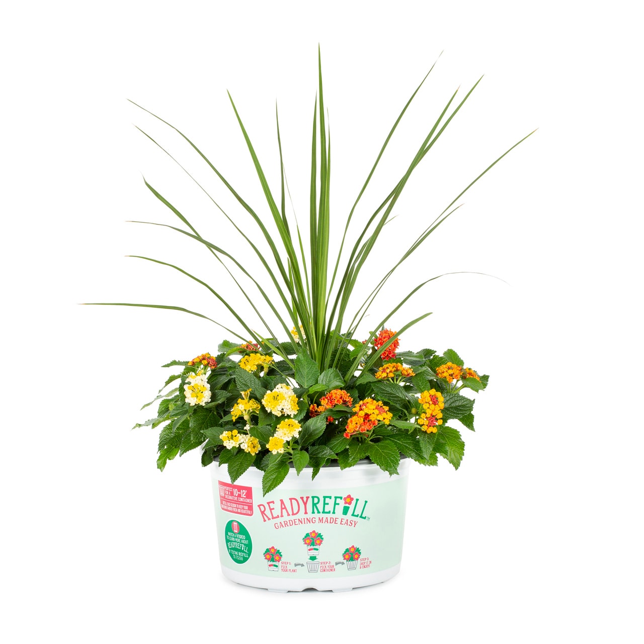 Ready Refill 4917 Multicolor Lantana Combo in 1.5 Gallon(s) Pot 1 -Pack