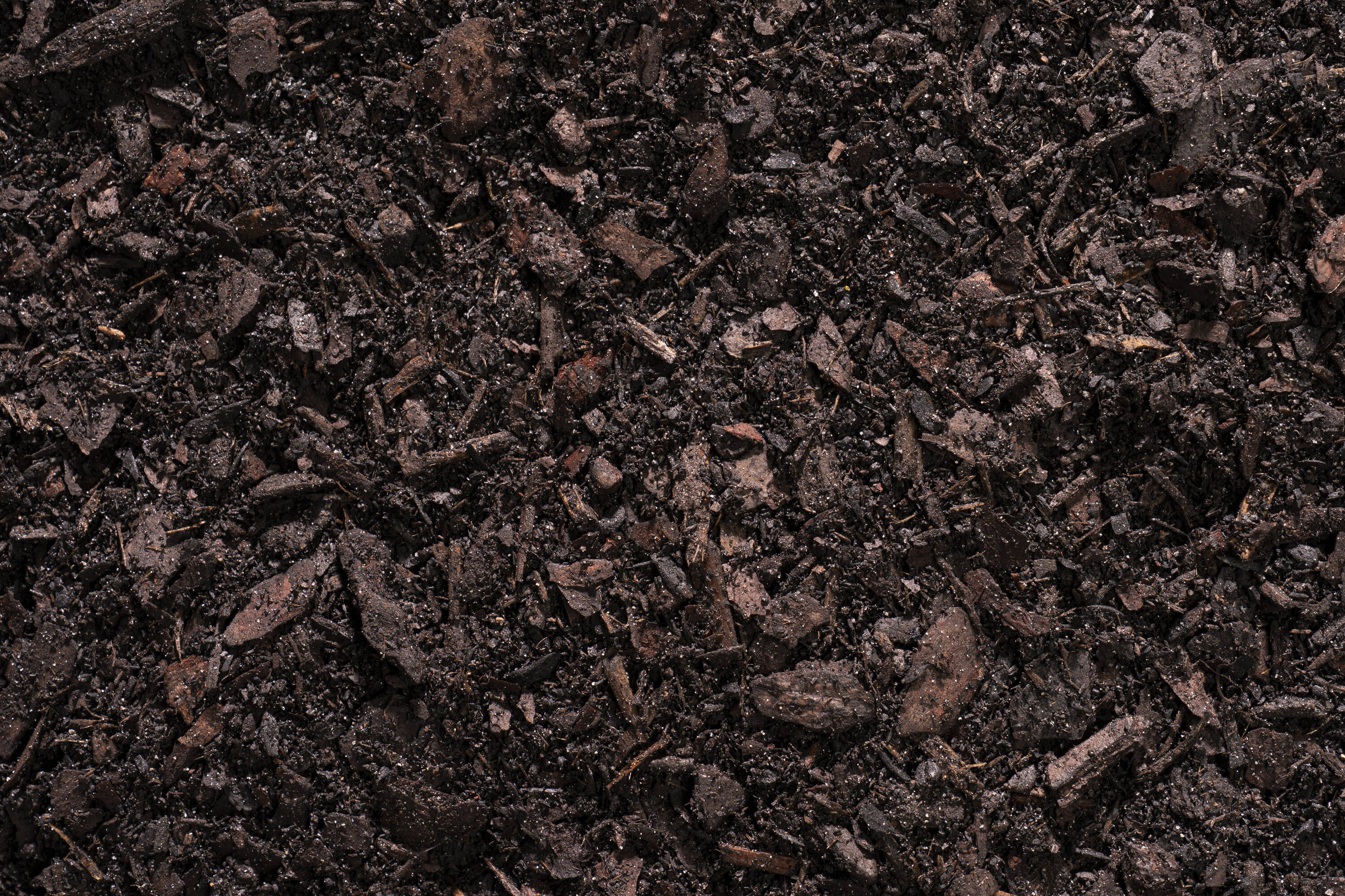 Wakefield Biochar 4226 Soil-Conditioner - View #3