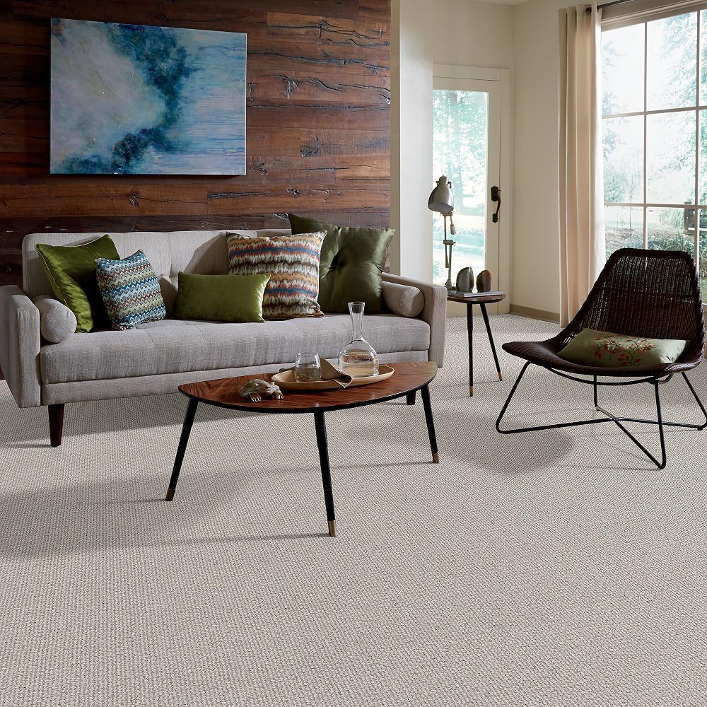 STAINMASTER 7L62100542  - View #5