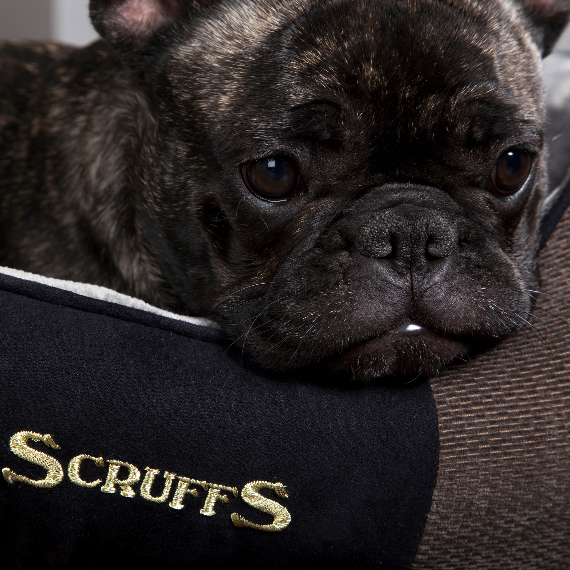 Scruffs BEDRCD931964 Pet-Beds - View #7