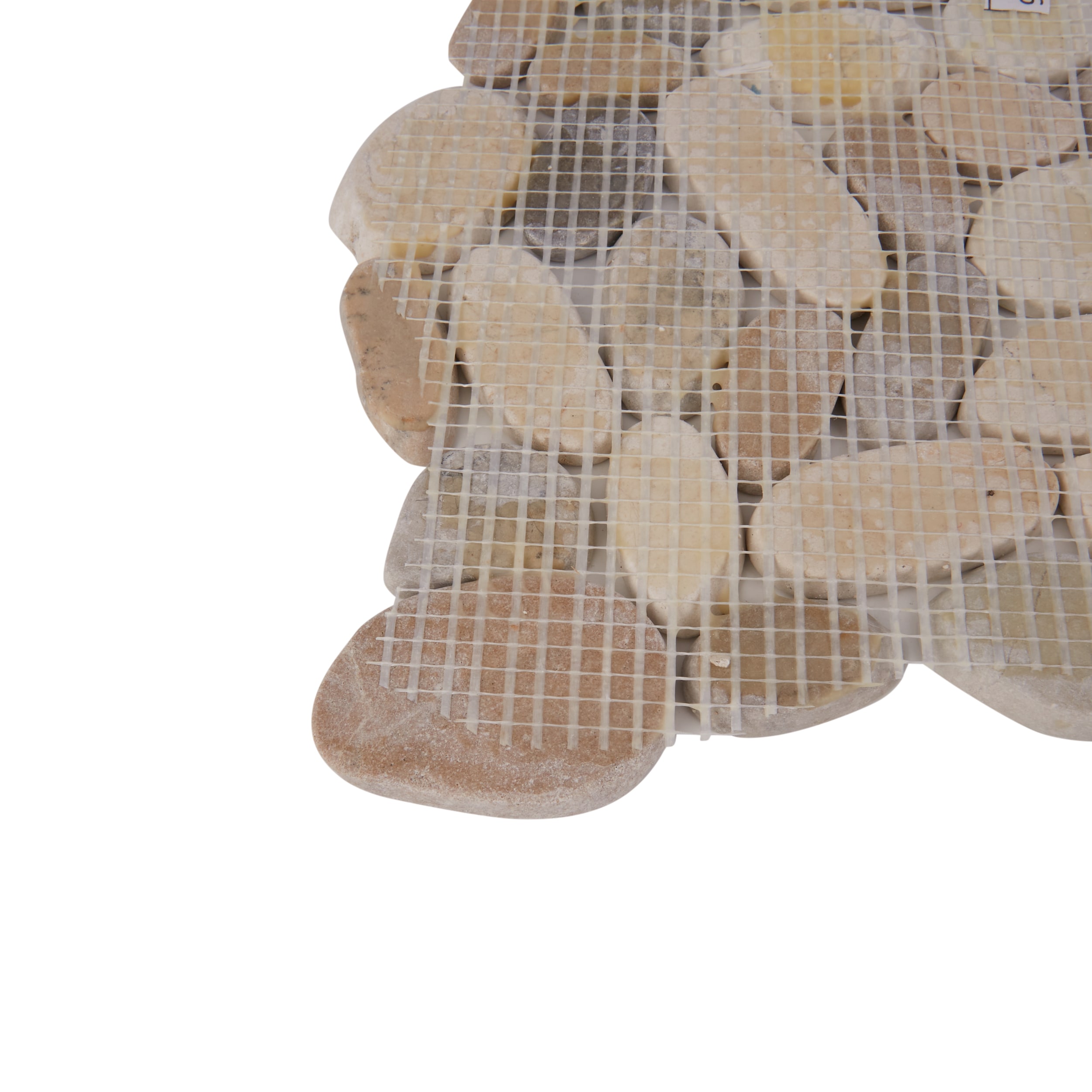 Rain Forest PTS-HNWGT Ceramic-Tile - View #2