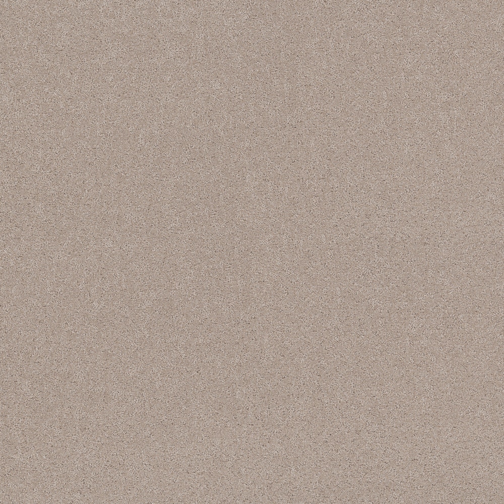 STAINMASTER PetProtect 7L944-720-SAMP (Sample) 8-in x 8-in with LeakDefense Paws Of Joy Baja Brown 48.8-oz sq yard High-performance polyester Pattern Indoor Carpet