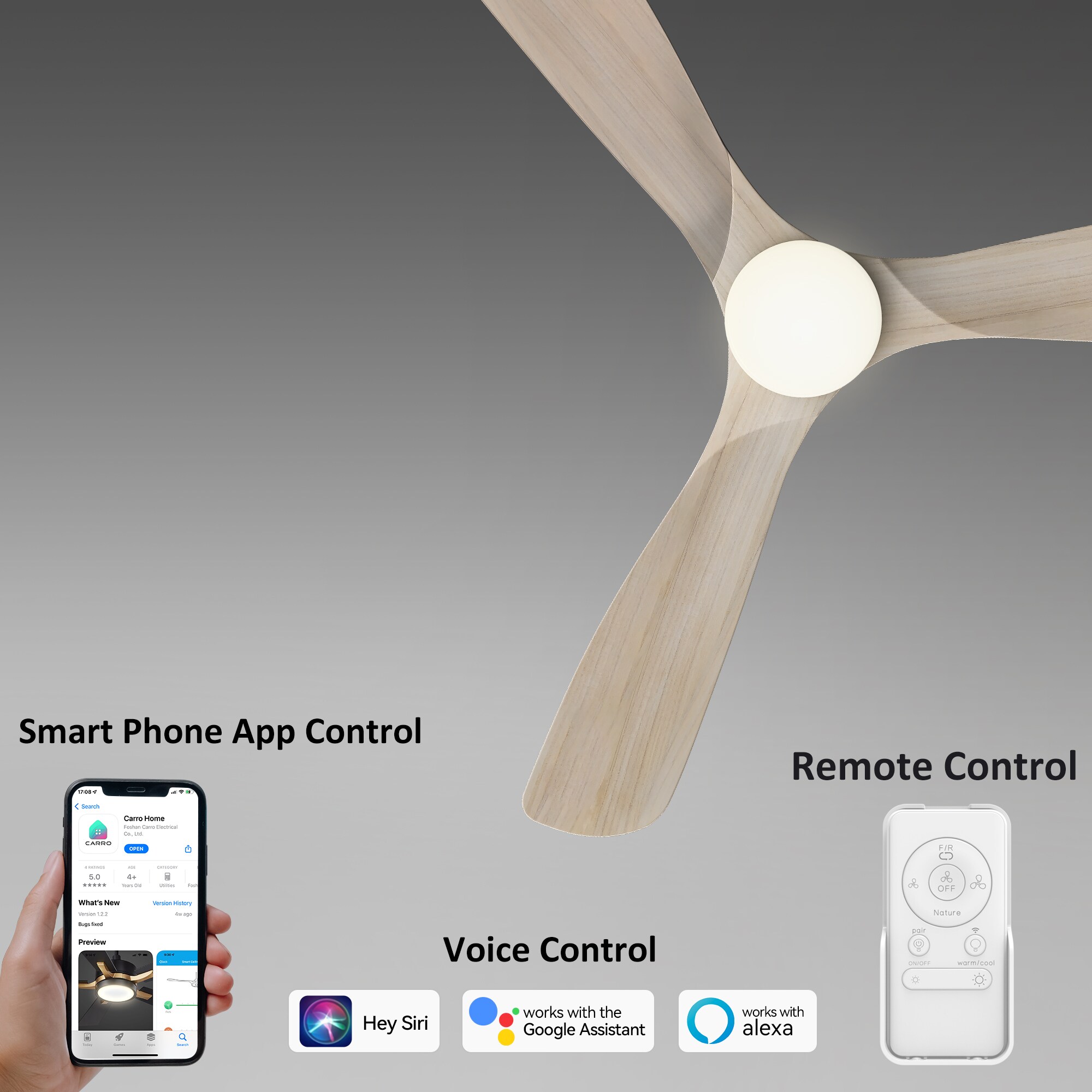 CARRO USA LS523P3-L12-WM1-1-FM Ceiling-Fans - View #3