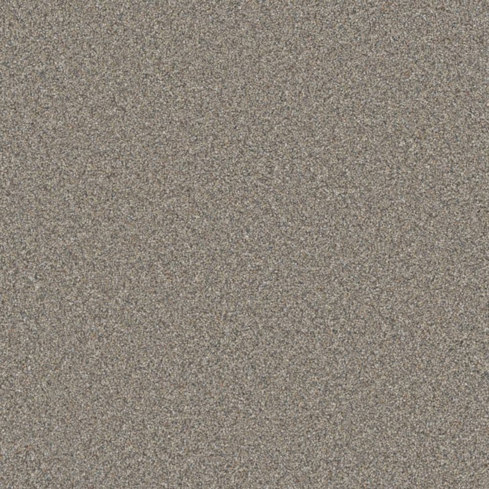 STAINMASTER S9260-948-1200-MO Chiffon Fleece Multi-Colored 60-oz sq yard Polyester Textured Indoor Carpet