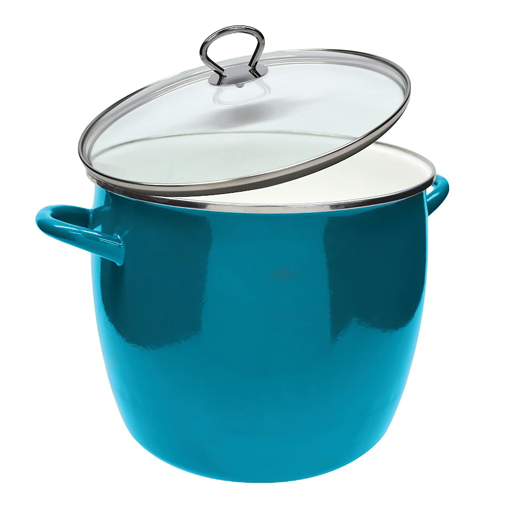 Vasconia 12-Quart Steel Stock Pot EKV4043693 at Lowes.com