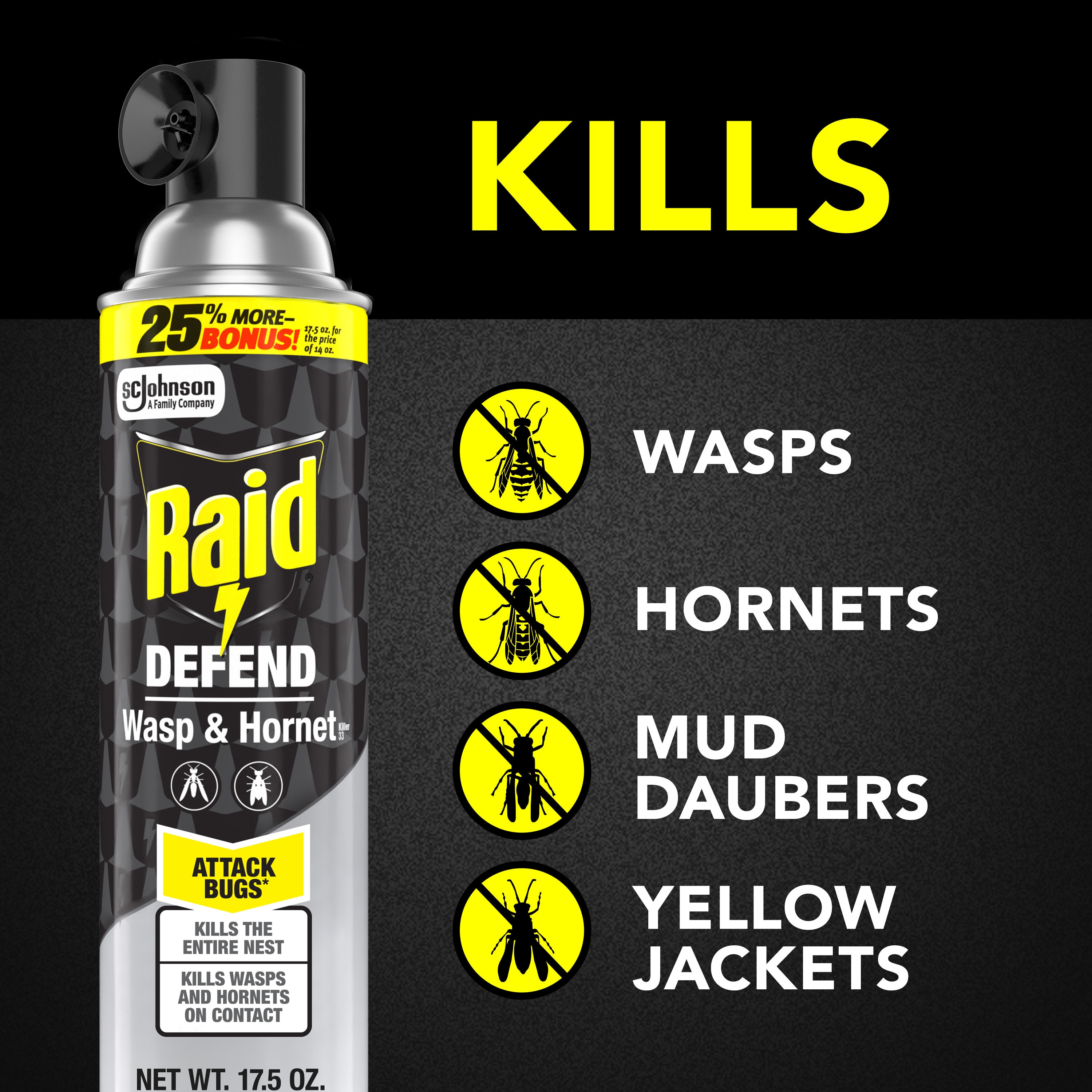 Raid 327314 pesticides - View #2