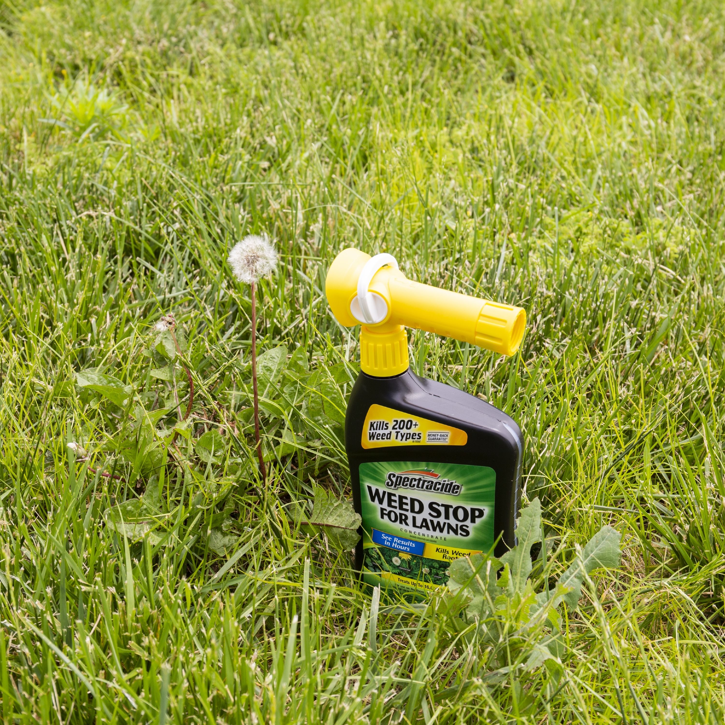 Spectracide Weed Stop For Lawns 32-fl oz Hose End Sprayer Concentrated ...