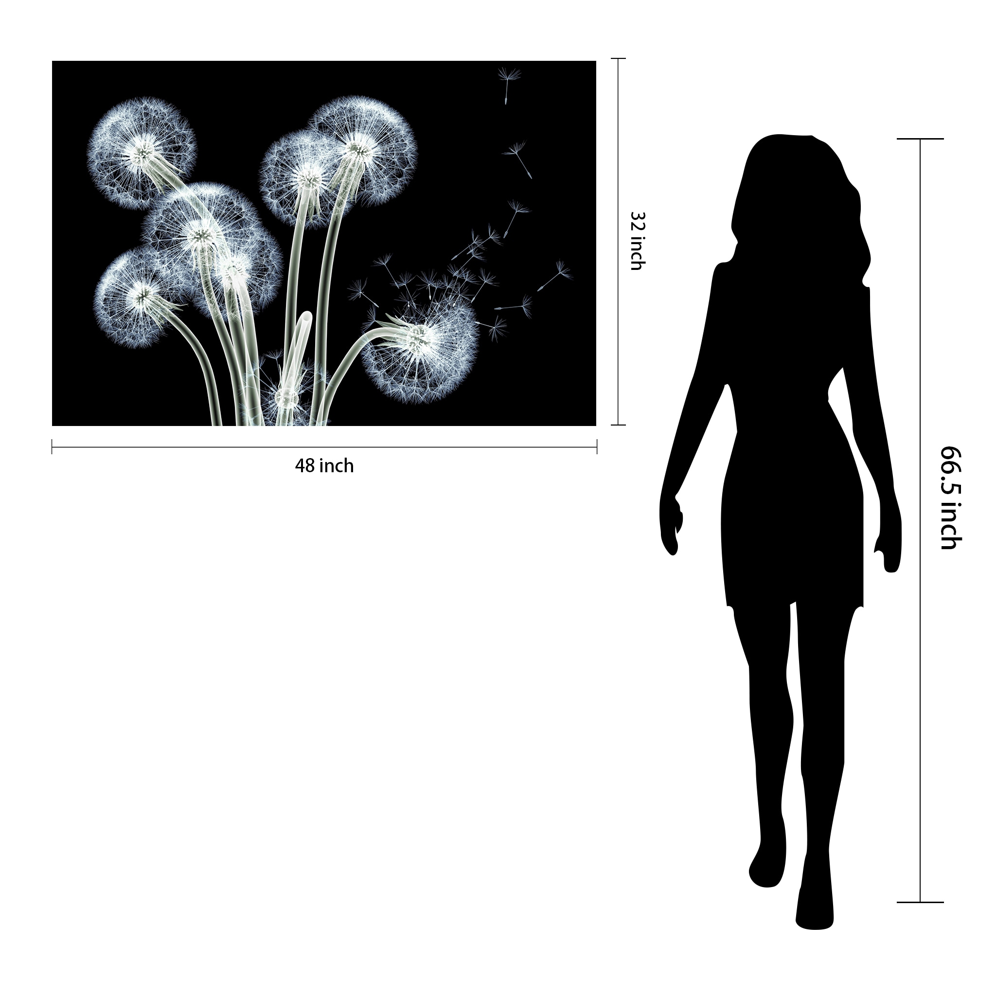 Dancing Dandelions Black and White Tempered Glass Wall Art