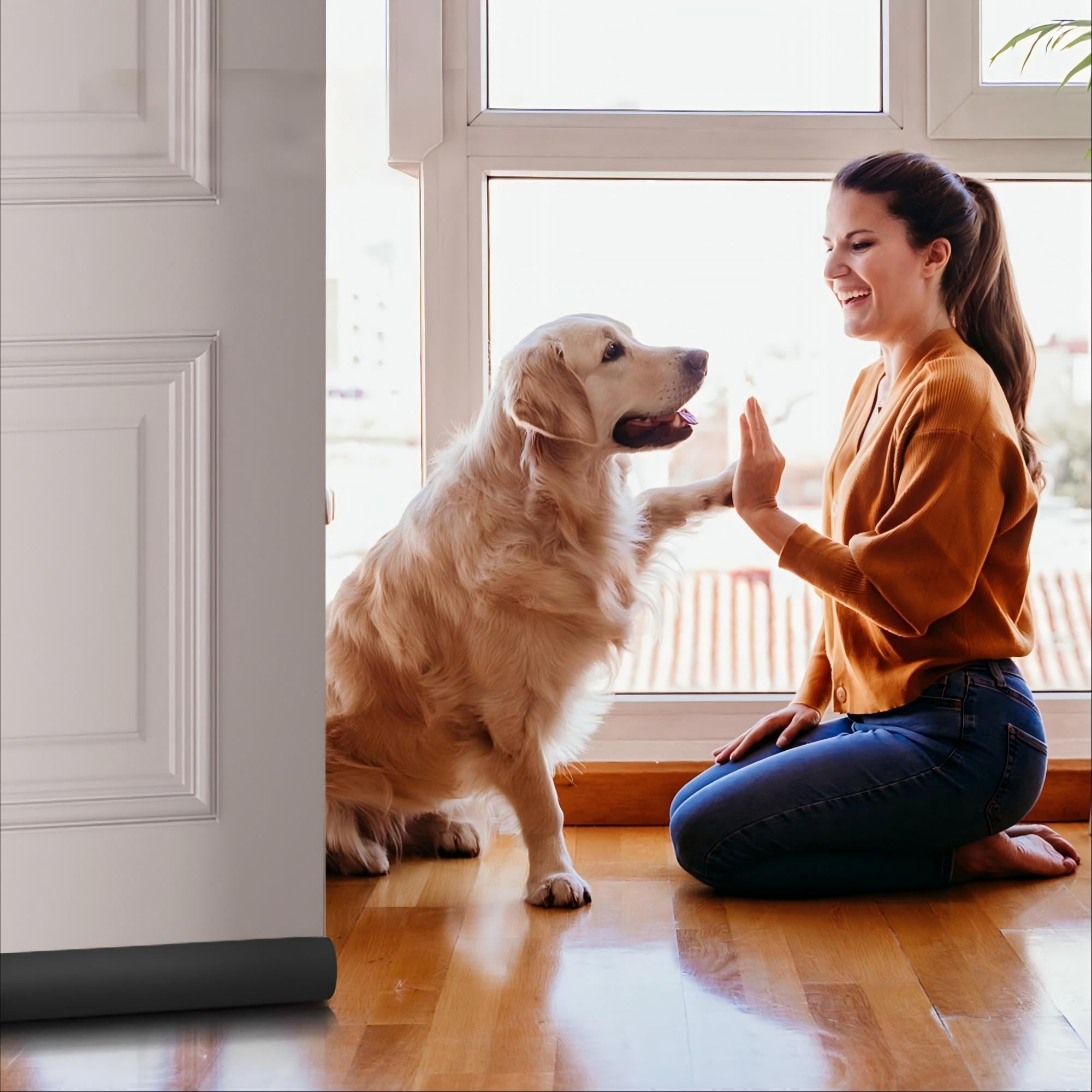 Numhew NHDREW401996 Door-Sweeps - View #7