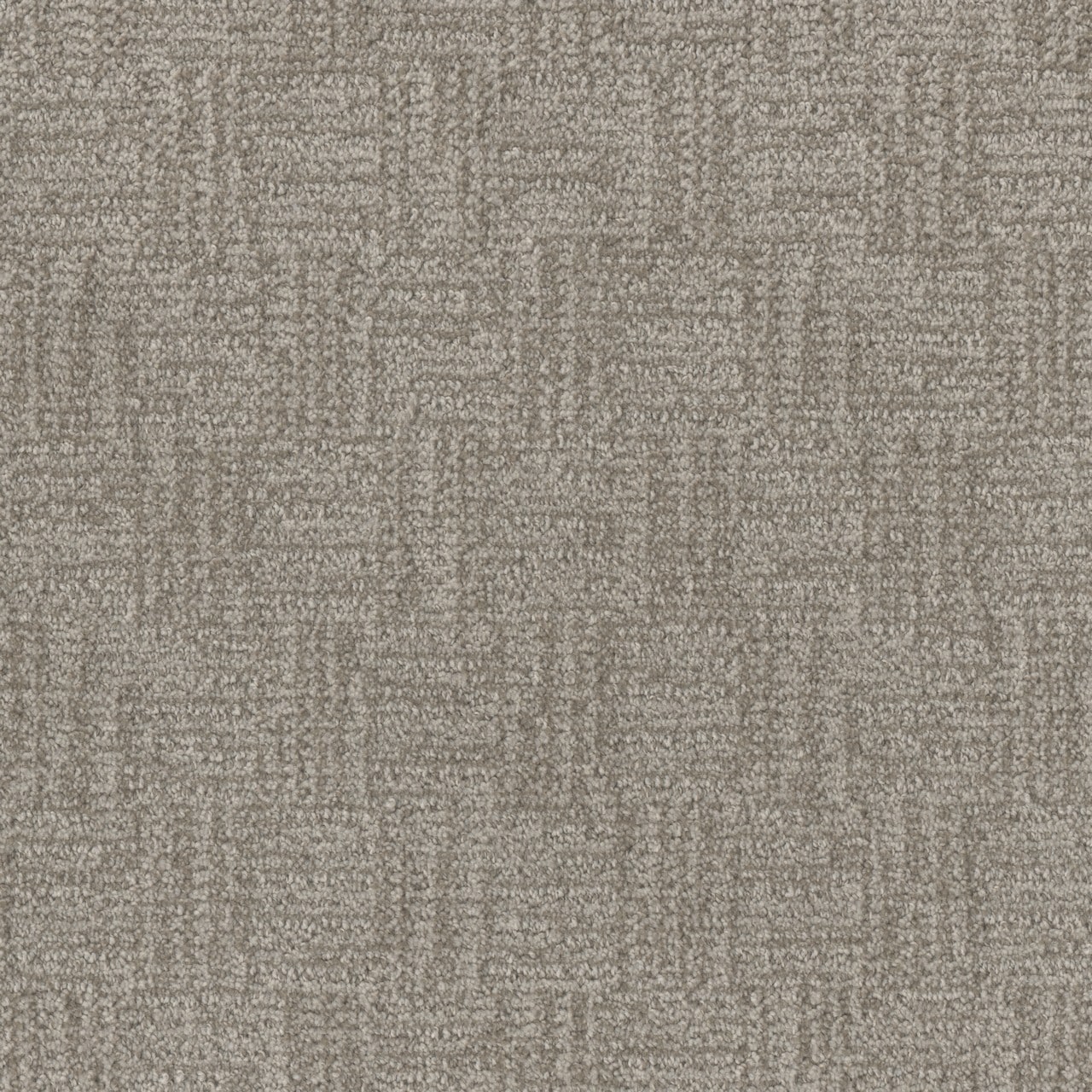 STAINMASTER L5006-6002-1200-AB Home Run Babe Gray 35-oz sq yard Solution-dyed polyester Pattern Indoor Carpet