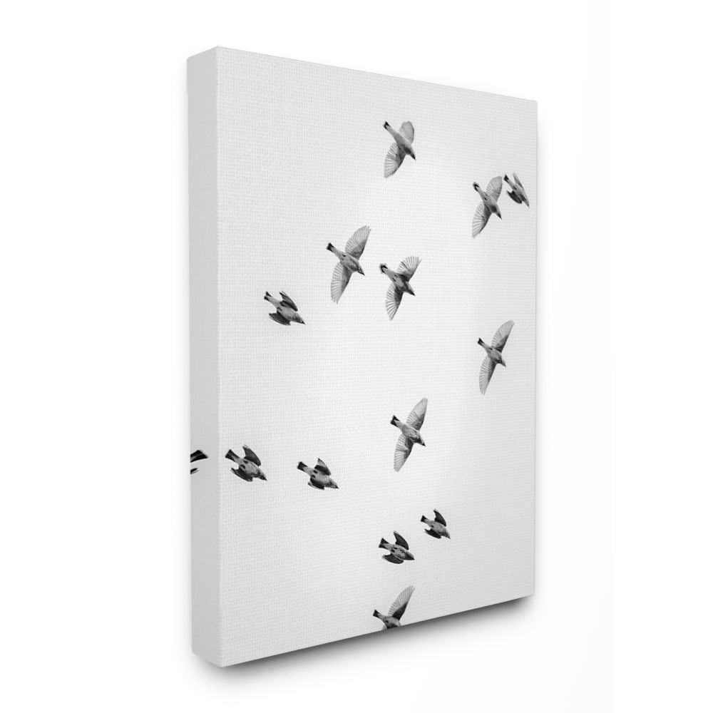 Stupell Industries PAP-111-CN-16X20 Birds In Flight Black and White Photography Design Fabrikken 20-in H x 16-in W Abstract Print on Canvas