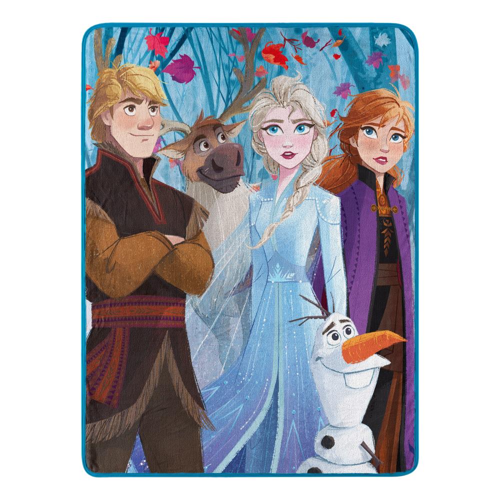 The Northwest Company Disney Multi Polyester Throw at Lowes.com