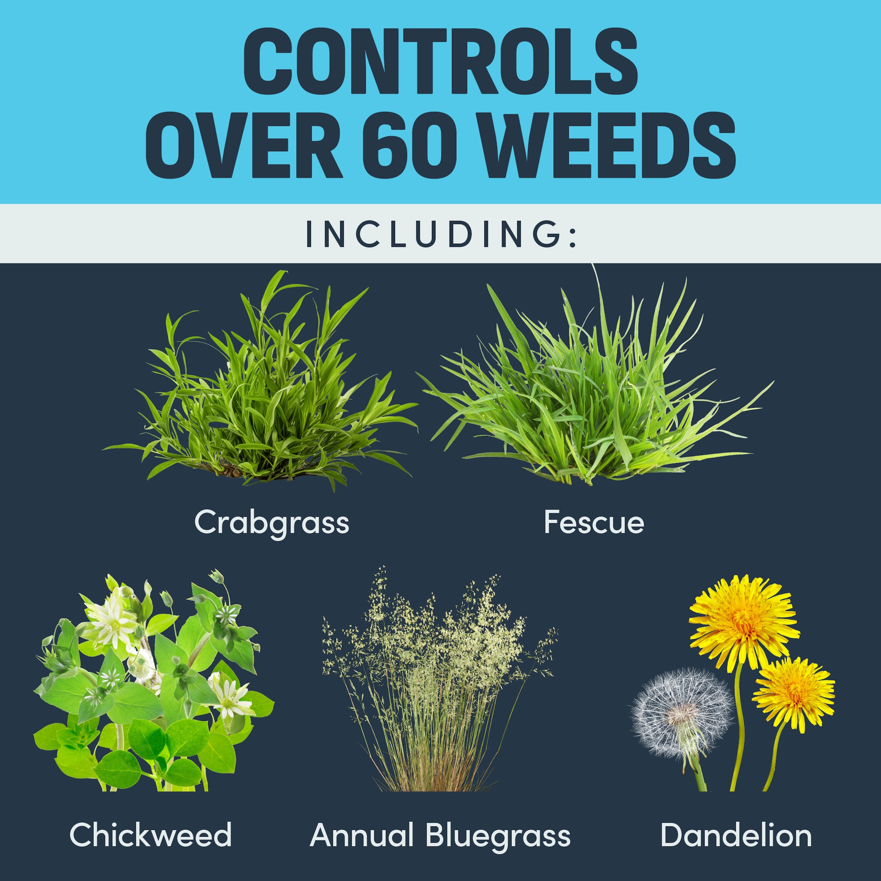 IMAGE 7062461009 Weed-Preventers - View #7
