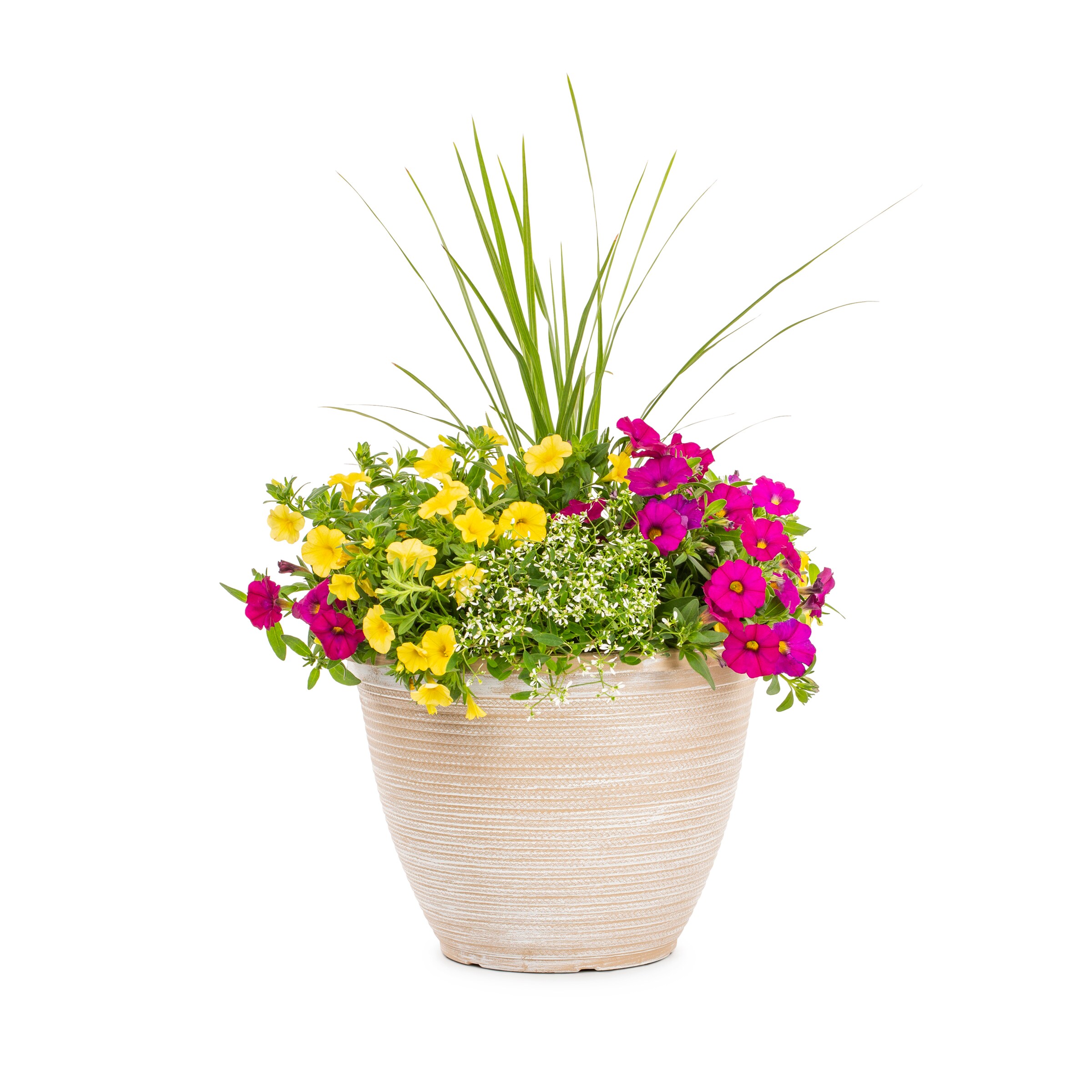 Lowe's NURSERY Multicolor Mixed Annuals Combinations in 2.5-Gallon Planter