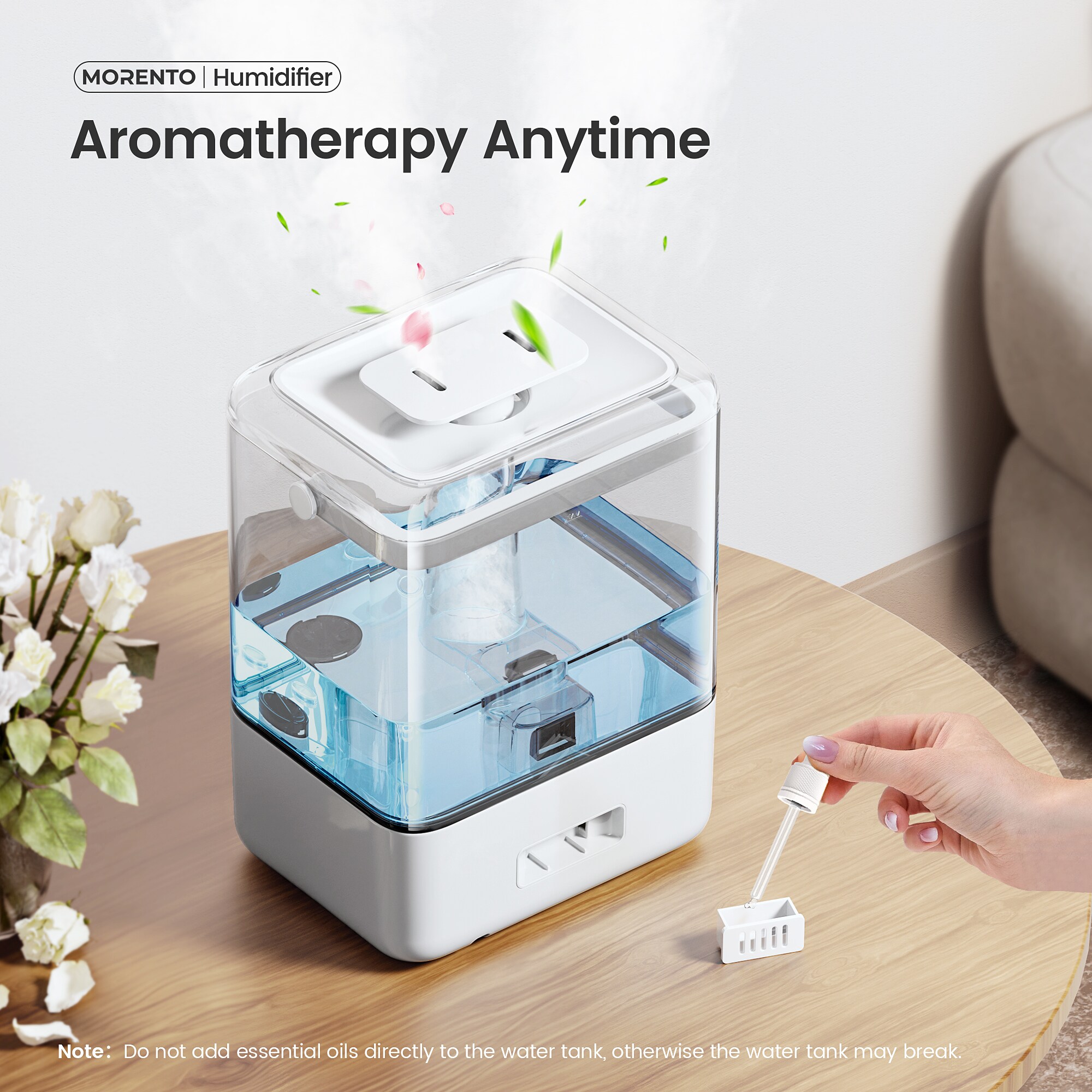 MORENTO LSUSMR6WWH t040290 - View #7