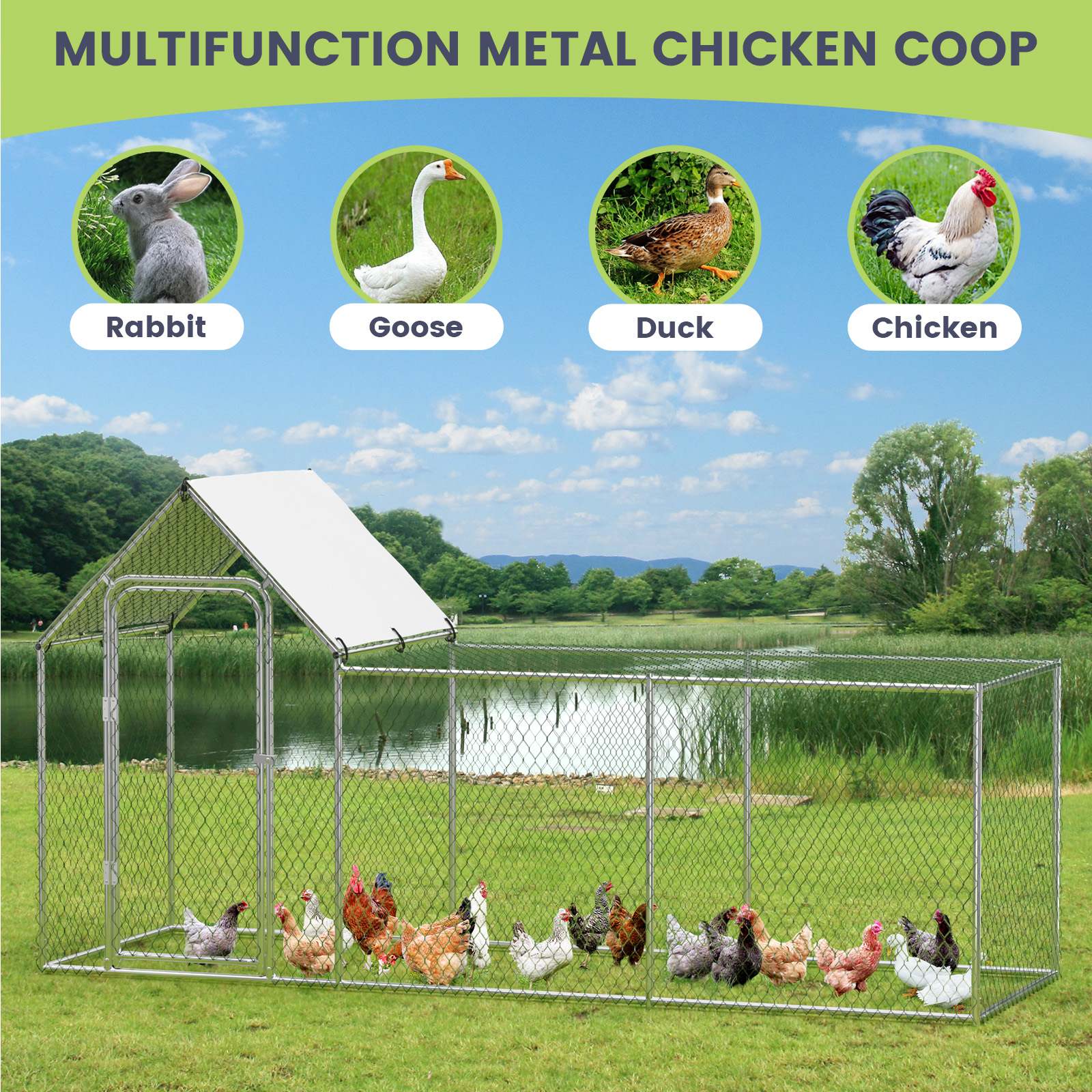 Qeetex WLS-PHO-159W8UKA Chicken-Coops-Rabbit-Hutches - View #2