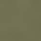 Light Sage Green Velvet