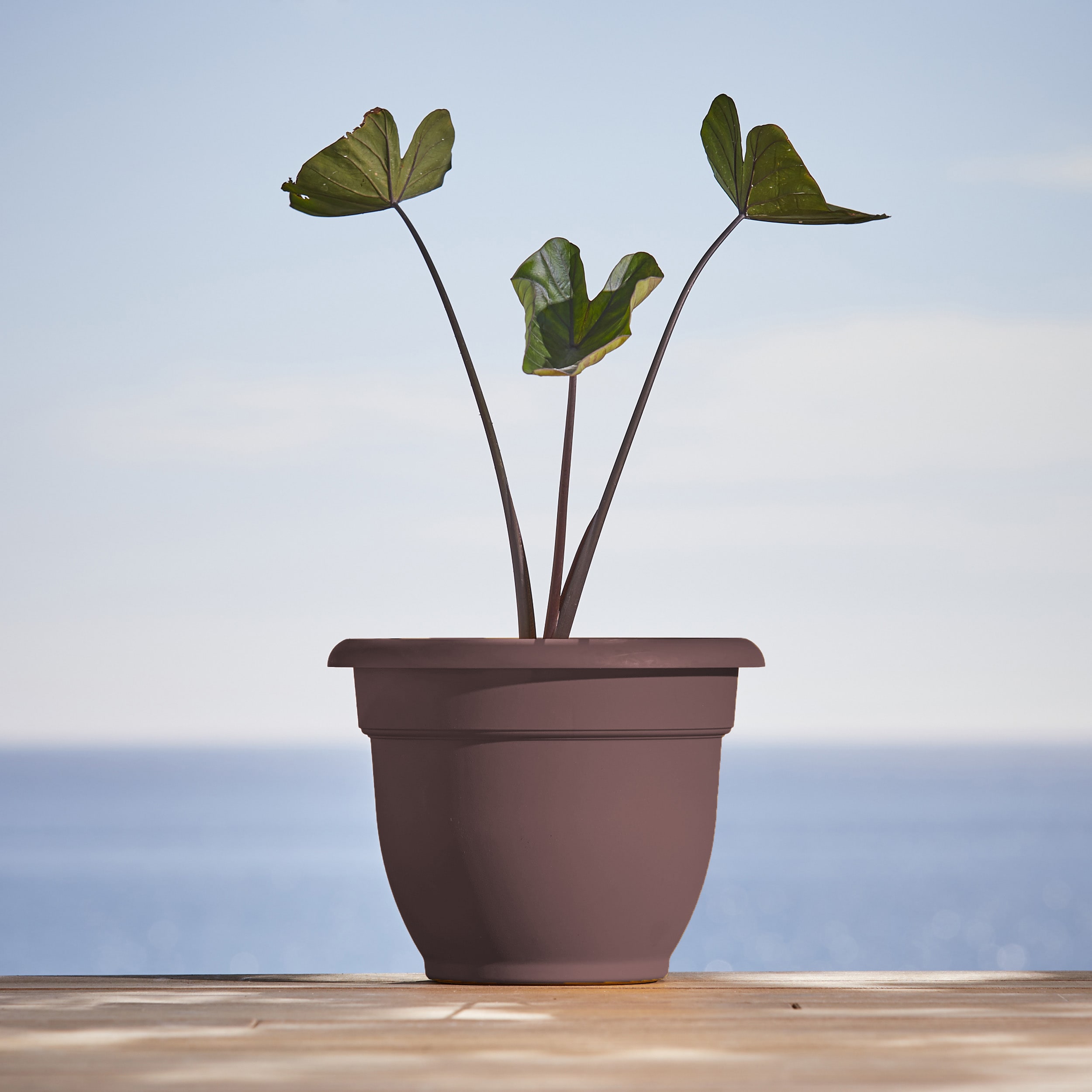  AP1057 Planter-Window-Box - View #12