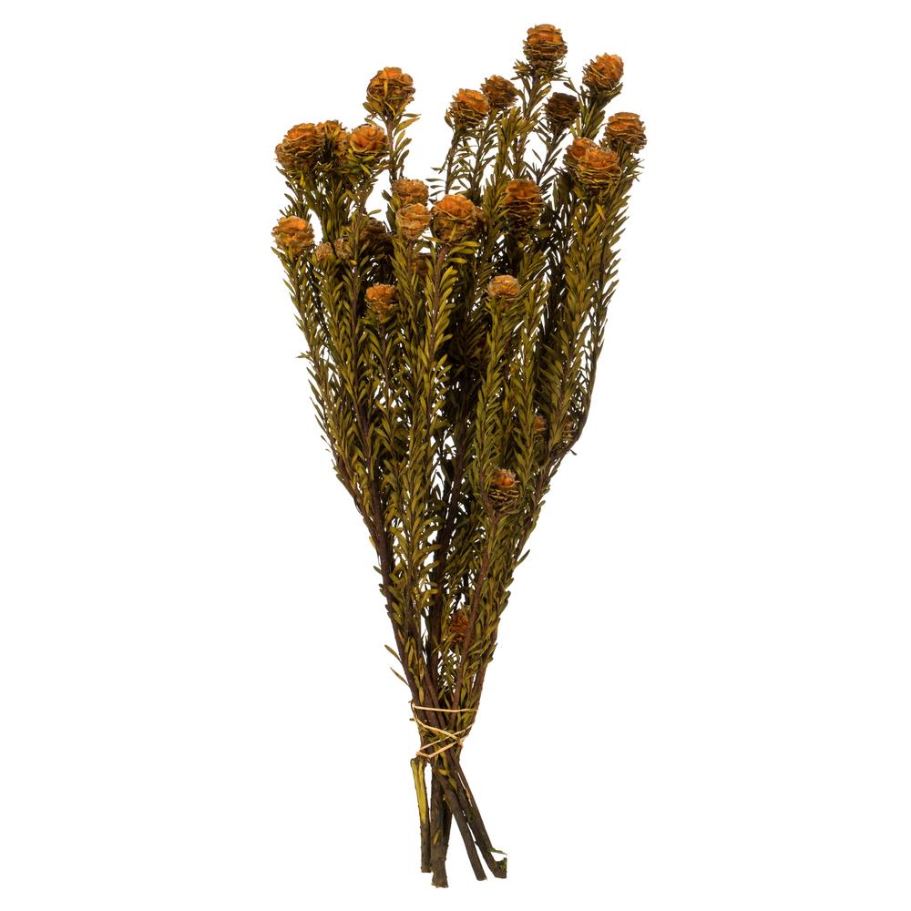 Vickerman H1TOF750-2 12-in Autumn Indoor Hanging Tortum Artificial Plant
