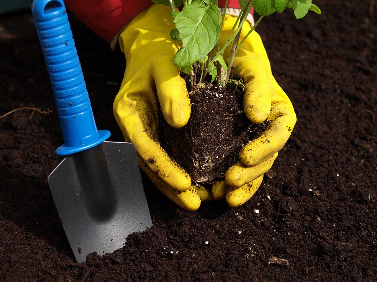  S1ORG-1CF-HL Garden-Soil-Soil-Amendments - View #2