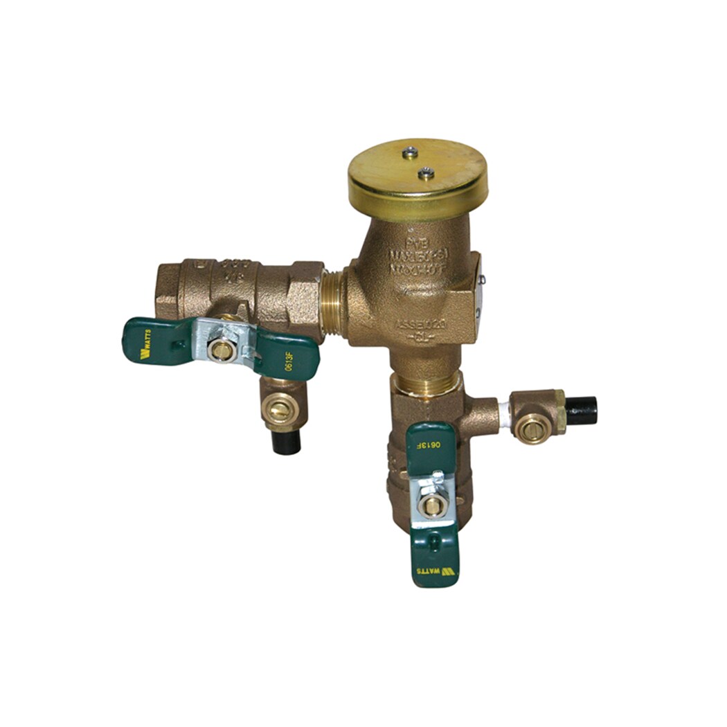 Watts 0951413 3/4-in Bronze FNPT Pressure vacuum breaker