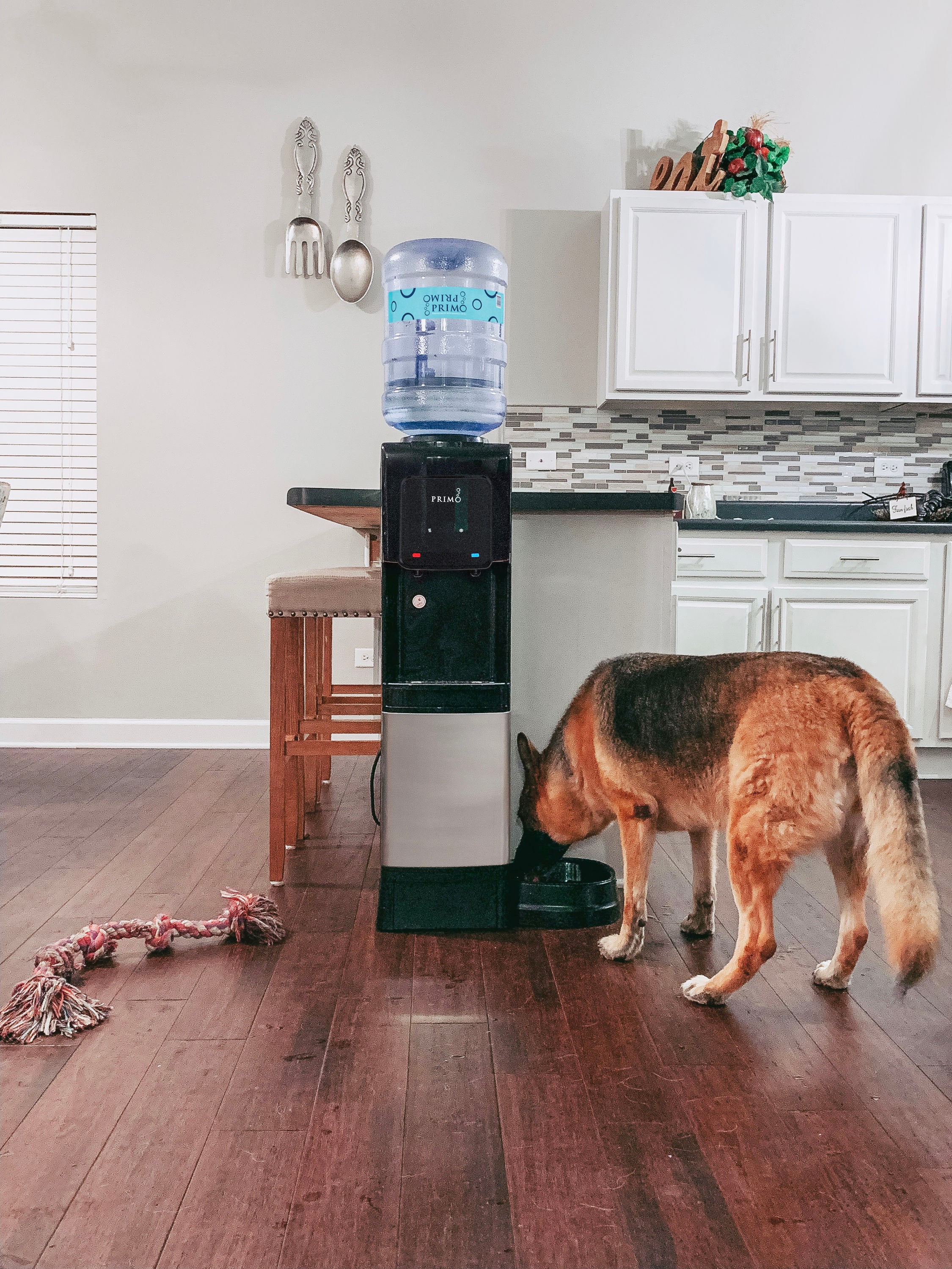 Water Dispenser Station for Large Dogs and Cats, 3 Gallon Gravity Automatic  Feeder, Large Size Dog Drinking Fountain