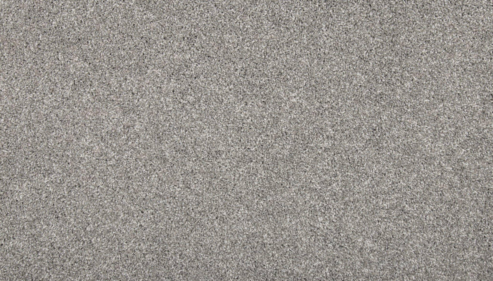 STAINMASTER SS012-15-L010 Memorable Touch I Tarpaulin Gray 35-oz sq yard Solution-dyed polyester Textured Indoor Carpet