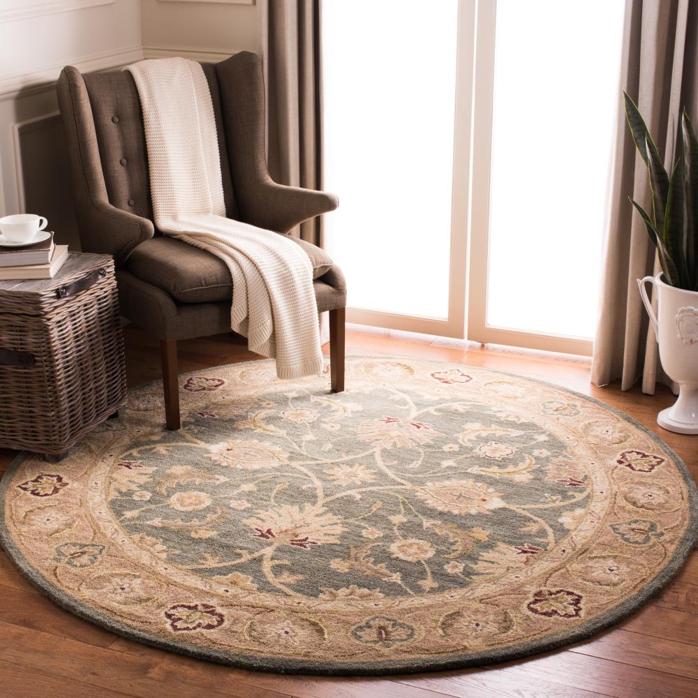 Safavieh AN549B-6R rugs - View #2