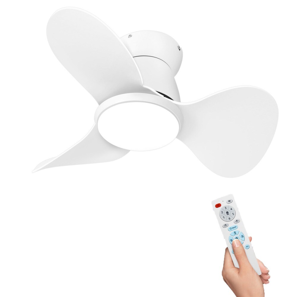 Ltemziiy A02-005-WH Ceiling-Fans - View #2