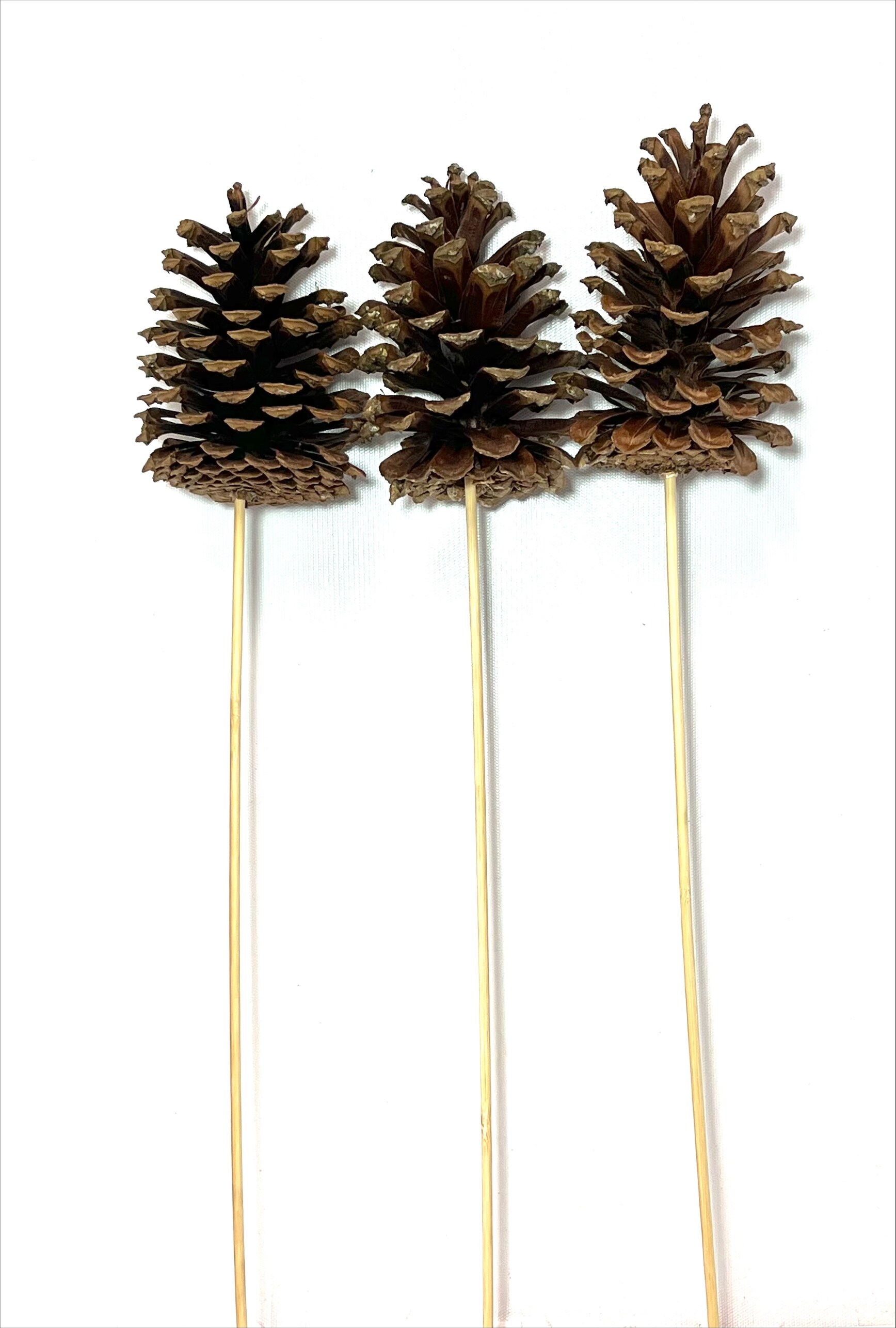ROOMS IN BLOOM LO7875-98PPD25 Table-Christmas-Decorations - View #2