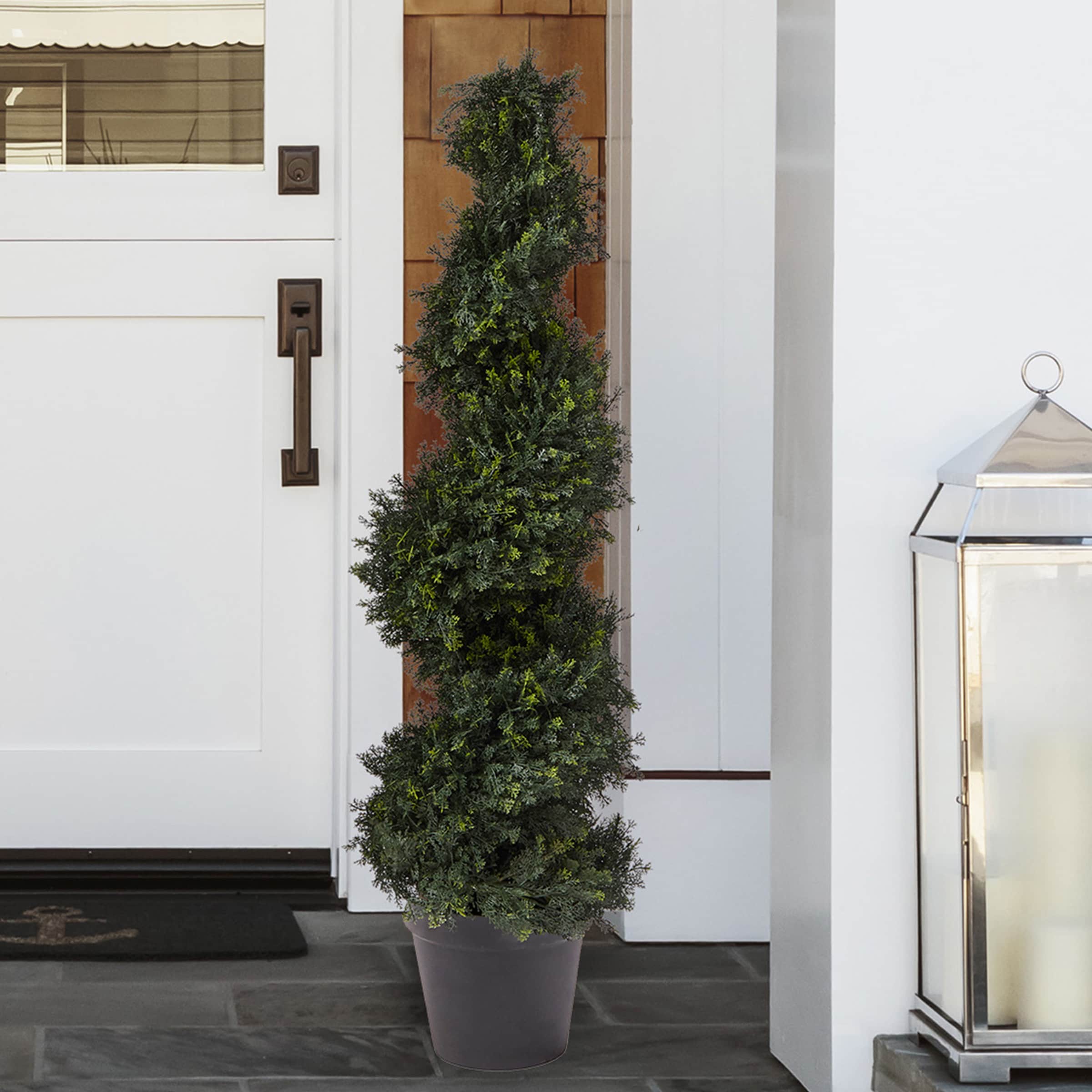 Nature Spring 4' Green Spiral Cypress Topiary in Black Pot