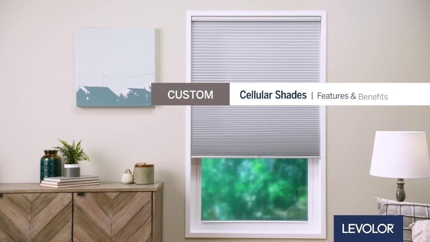 A thumbnail for the video